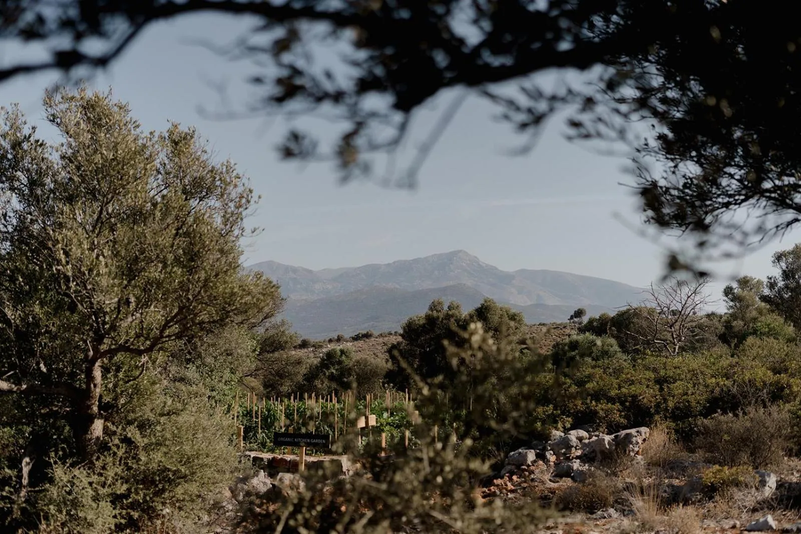 Natural landscape in Village Heights Resort