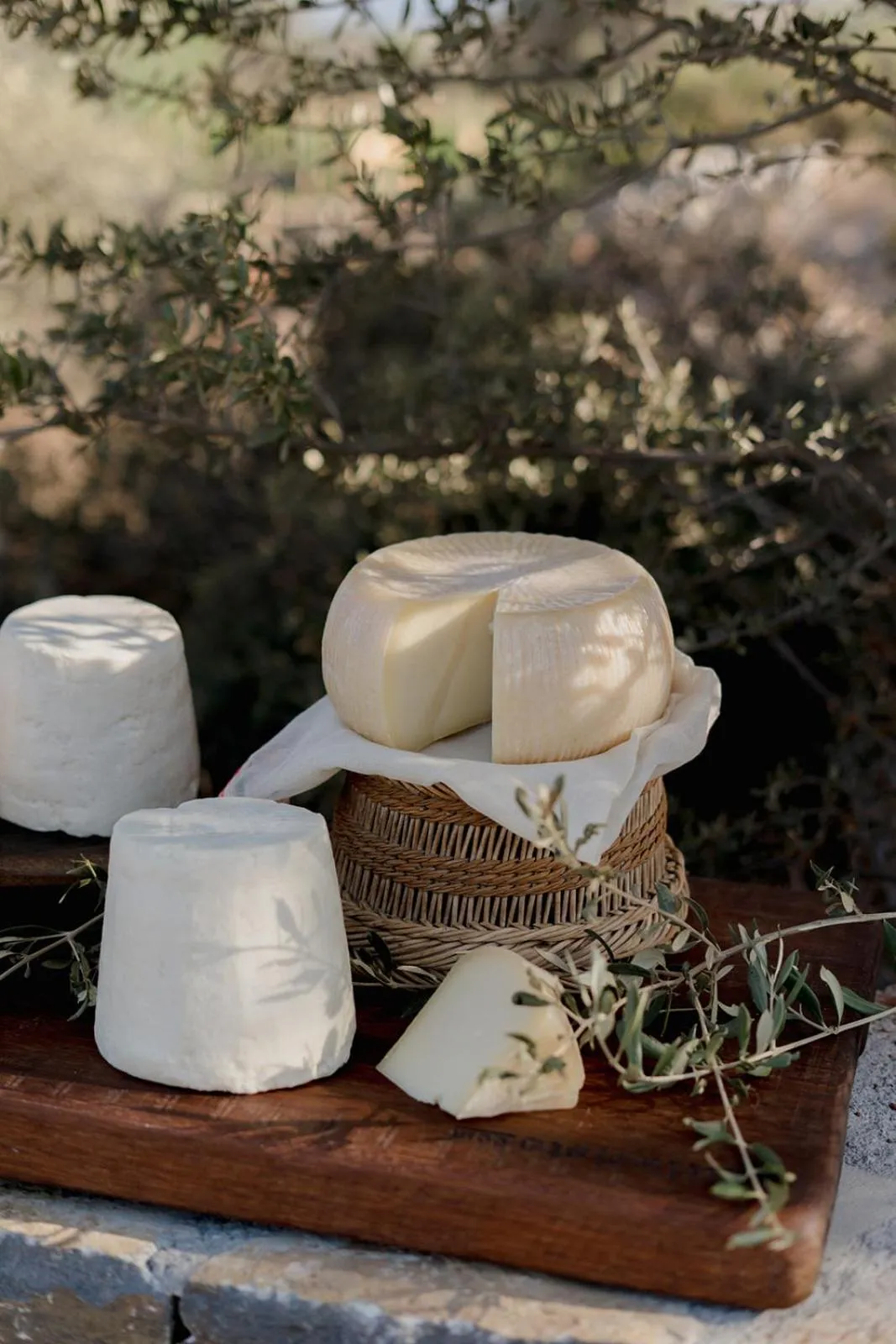 Day in Village Heights Resort