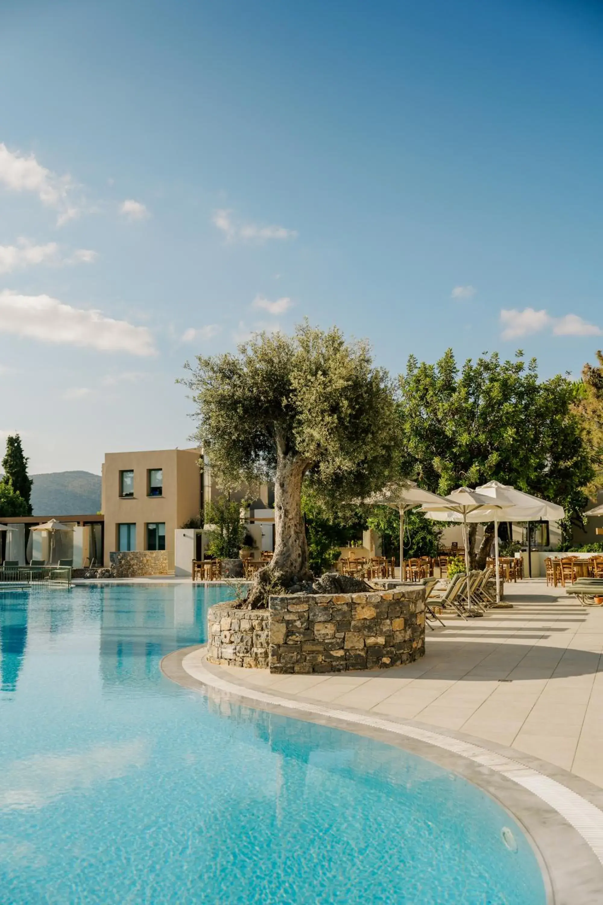 Pool view in Village Heights Resort Pool view in Village Heights Resort