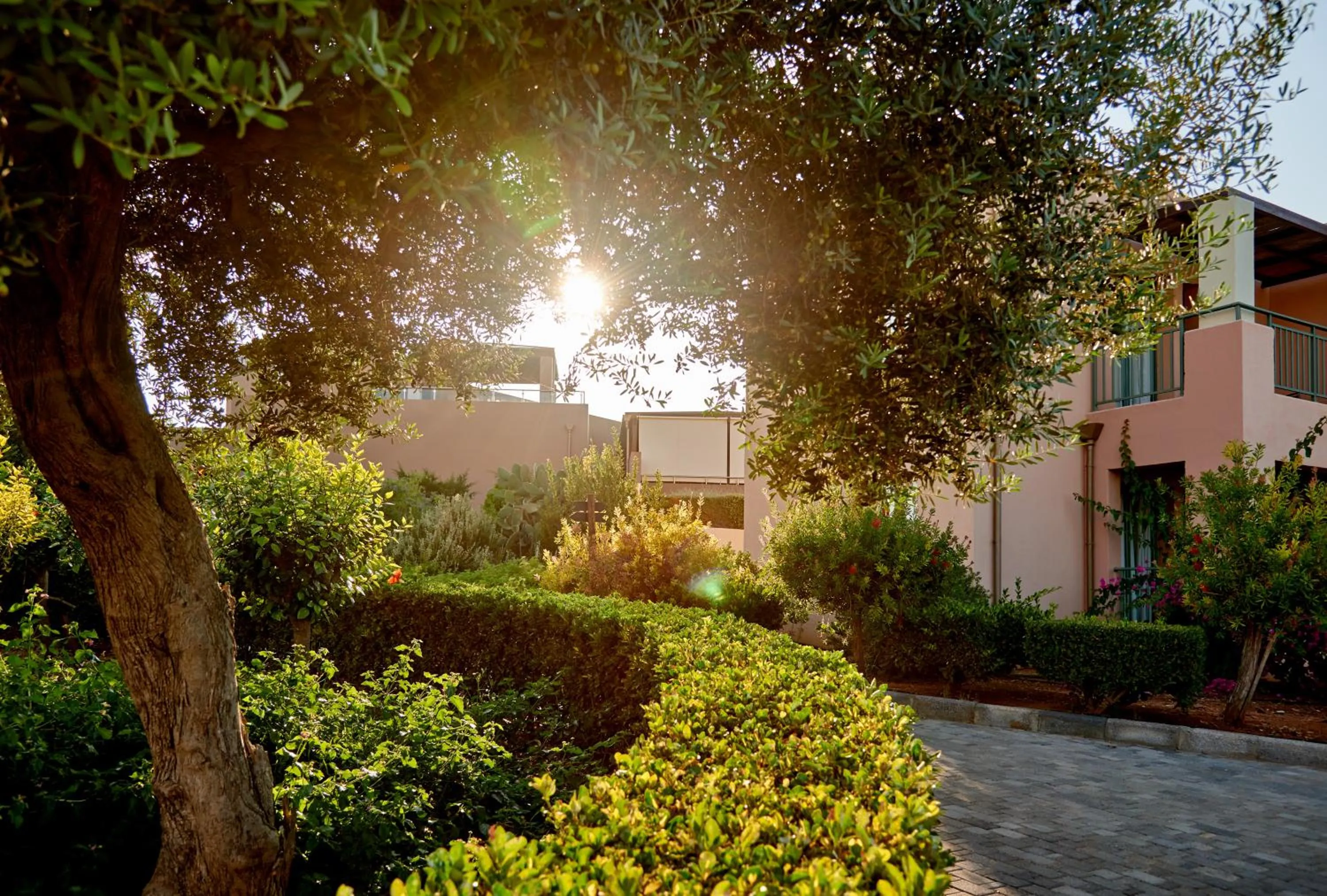 Garden in Village Heights Resort