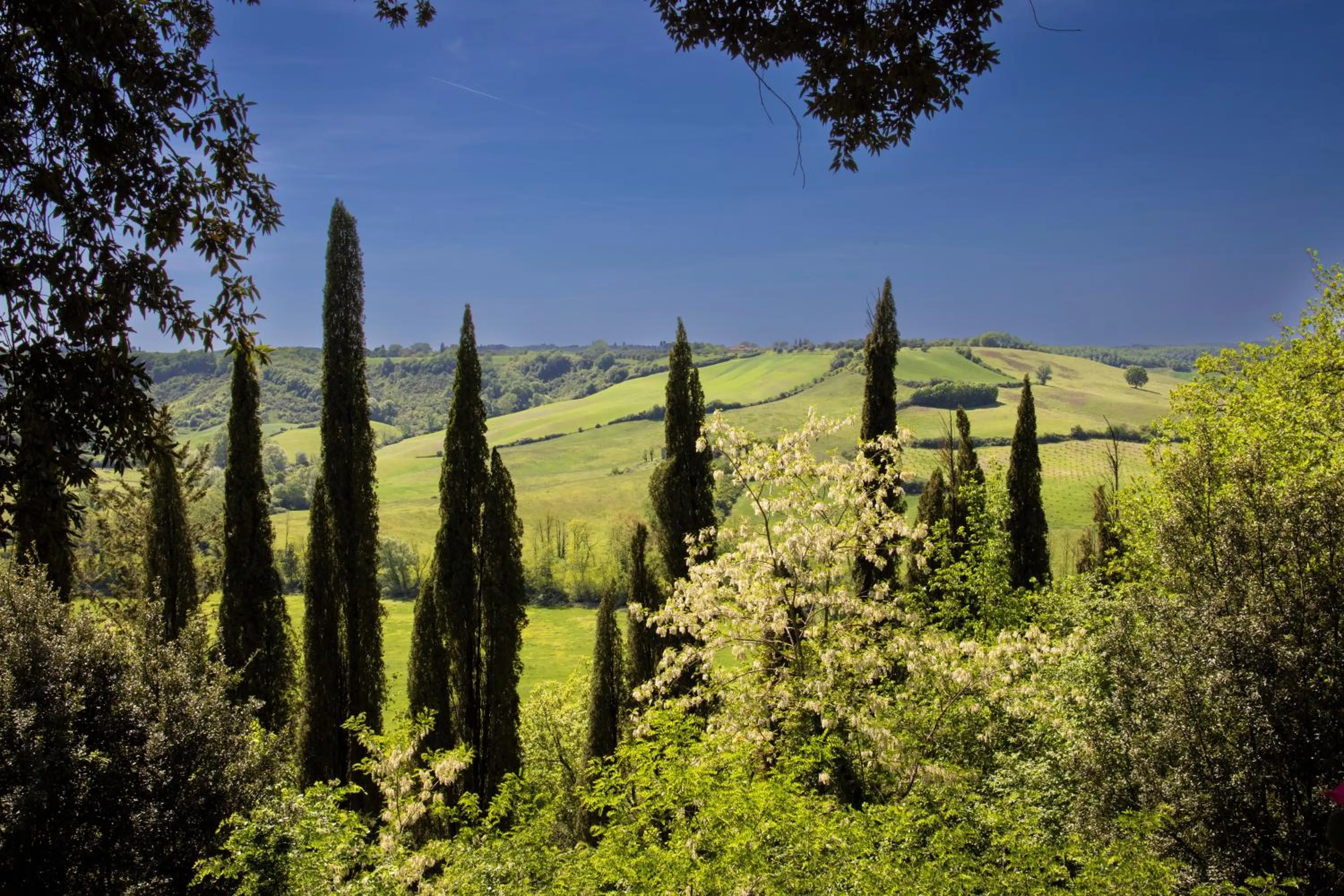 Property building in Borgo Laticastelli