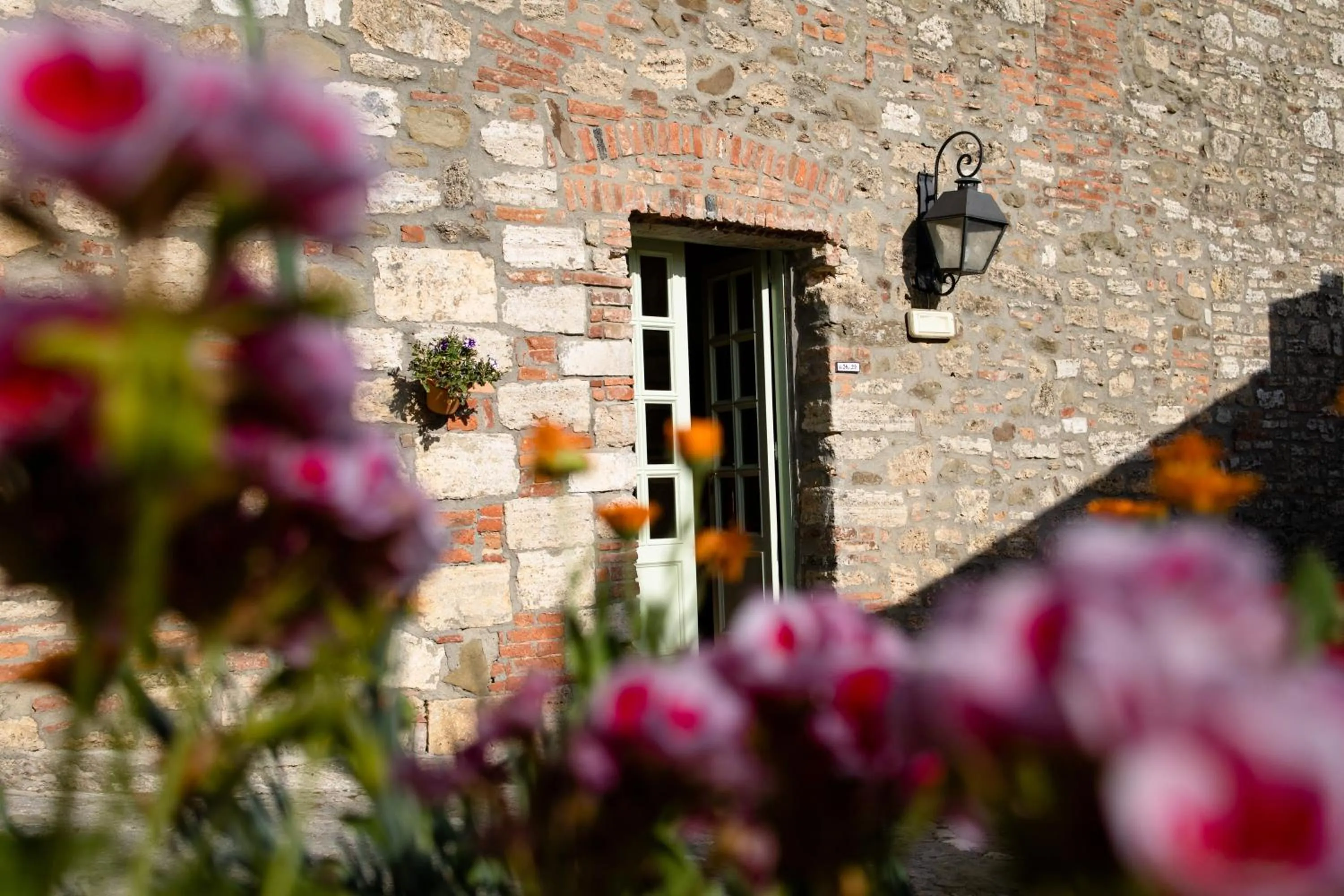 Garden in Borgo Laticastelli