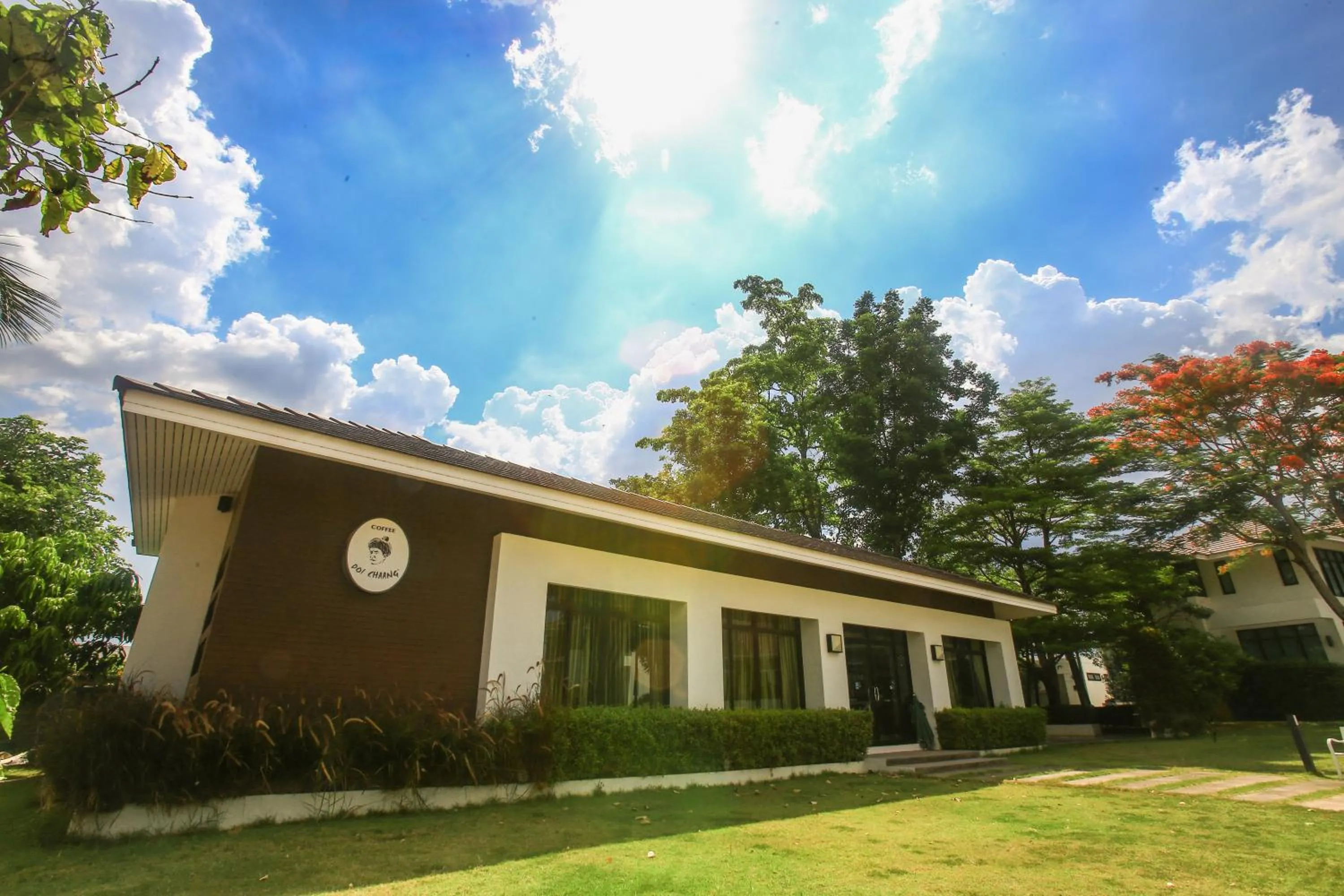 Food and drinks in The Desiign Hotel - SHA