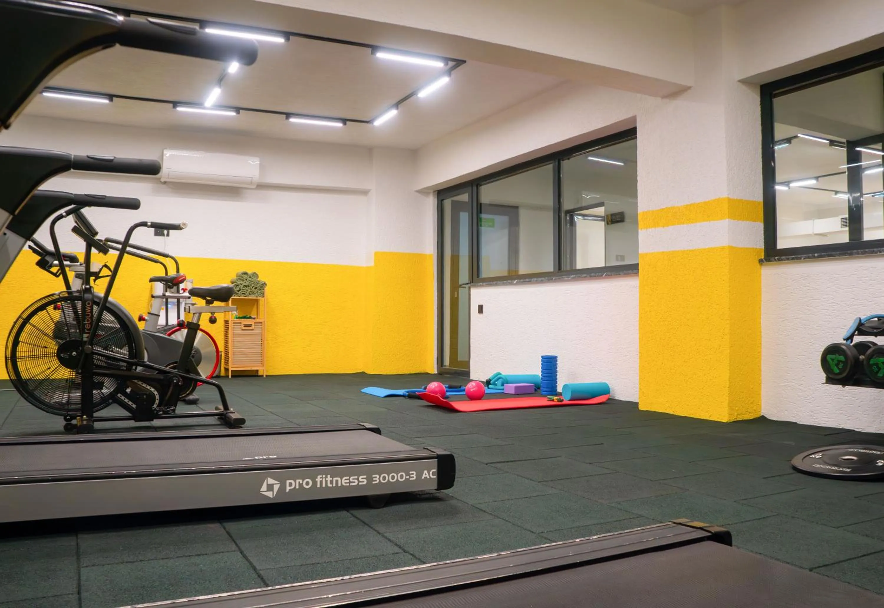 Fitness centre/facilities in ivy Hotel Spa