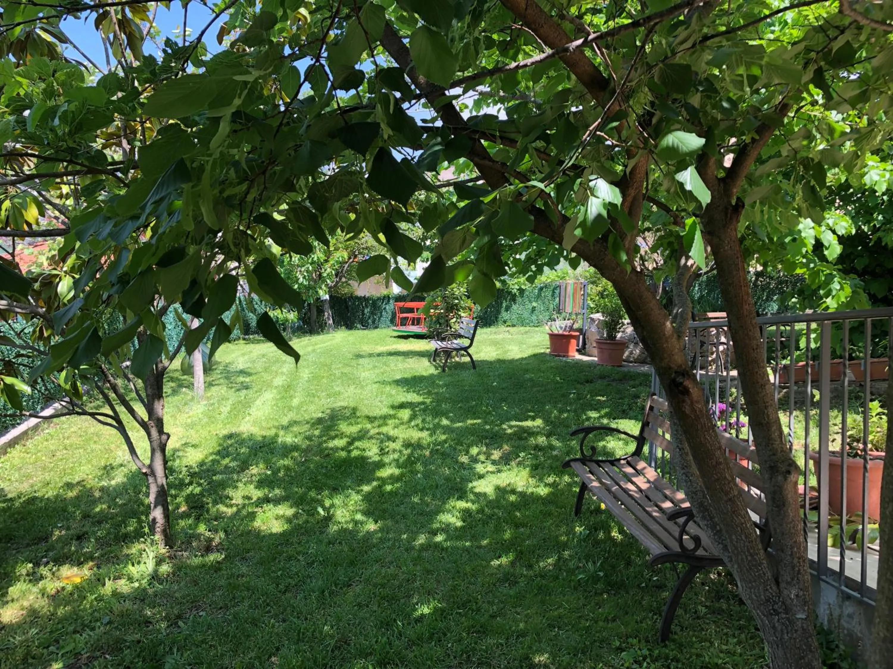 Casa Vacanze Primula palinuri