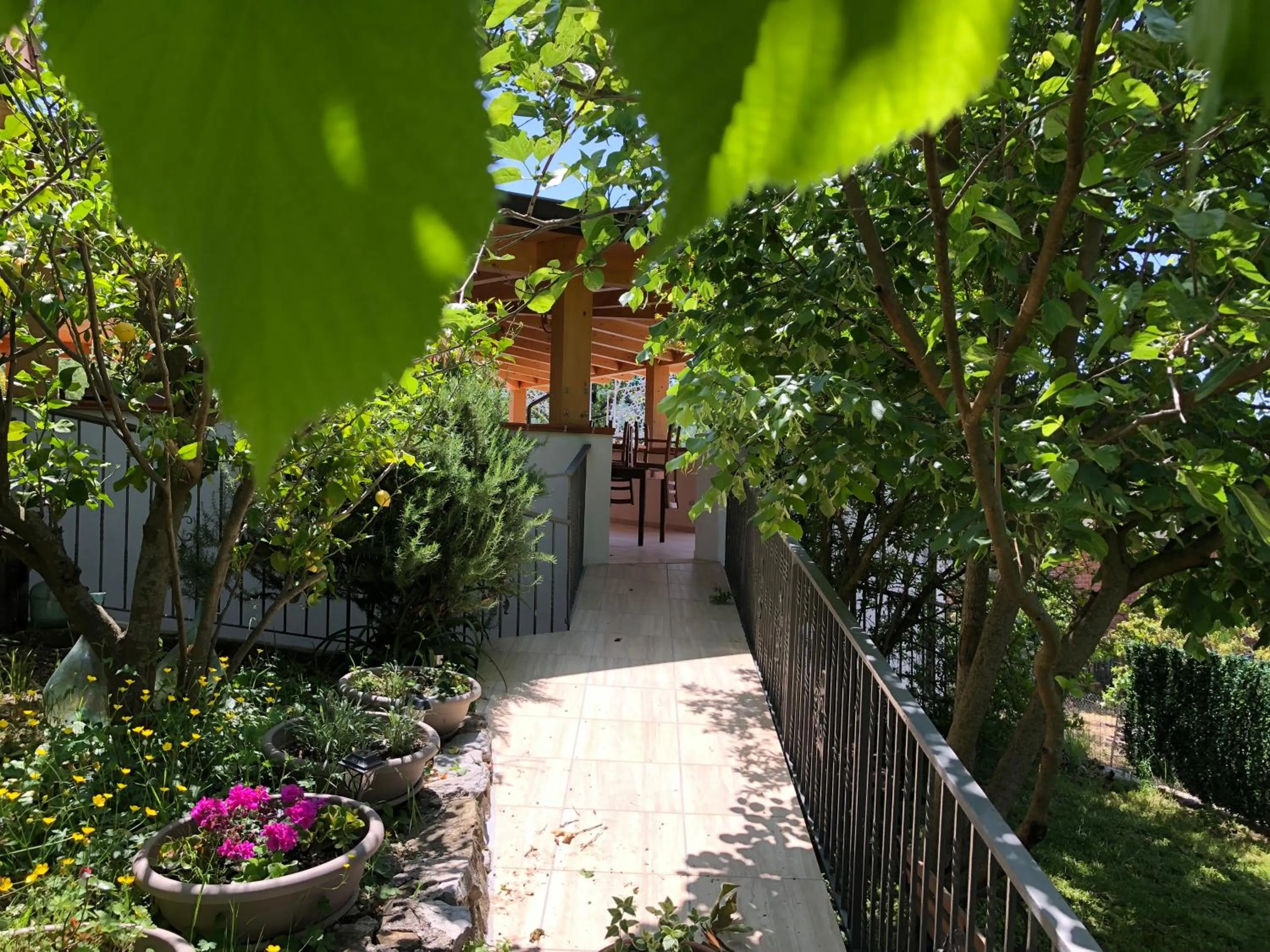 Casa Vacanze Primula palinuri