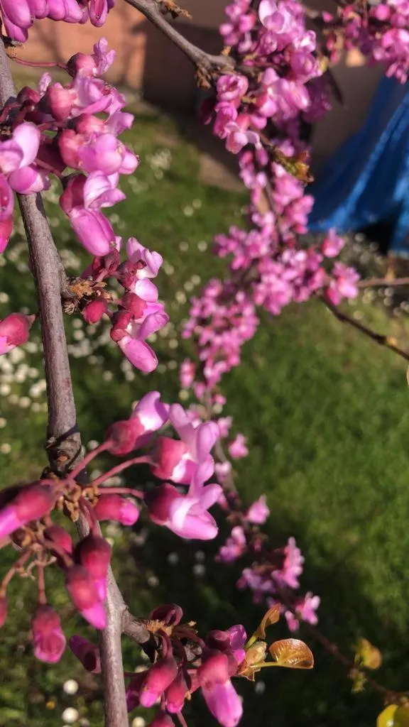 Parking in Casa Vacanze Primula palinuri