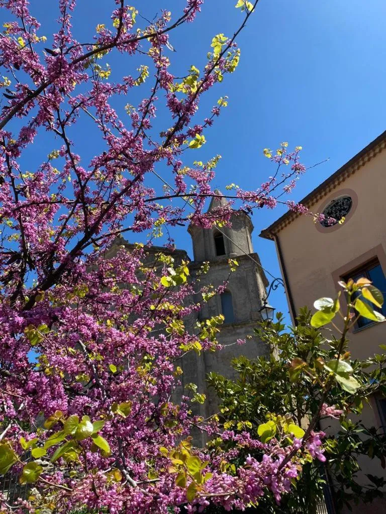 Casa Vacanze Primula palinuri