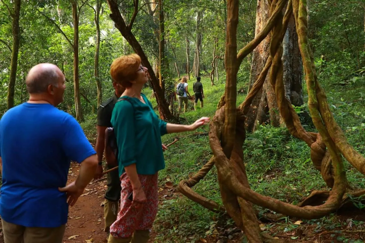 Natural landscape in Quadriya Palace