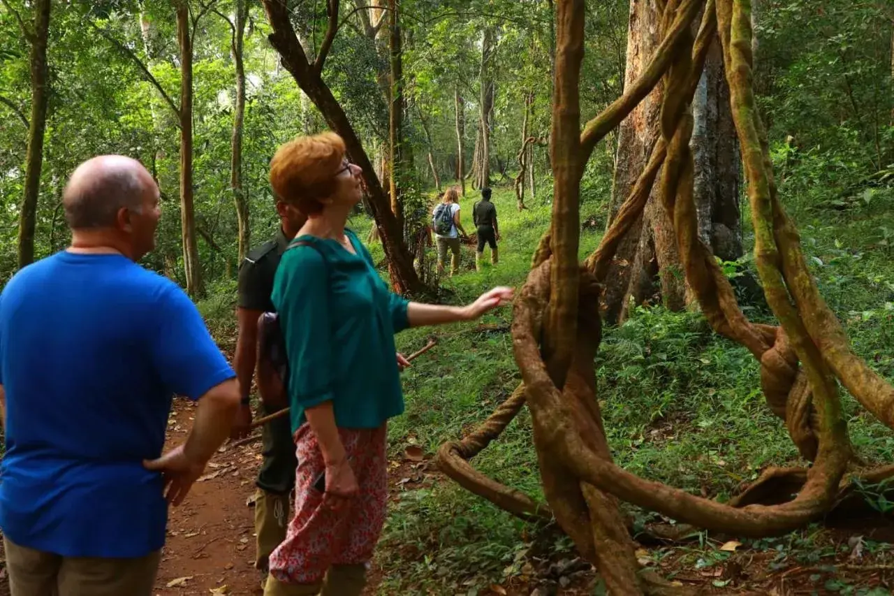 Natural landscape in Quadriya Palace Natural landscape in Quadriya Palace