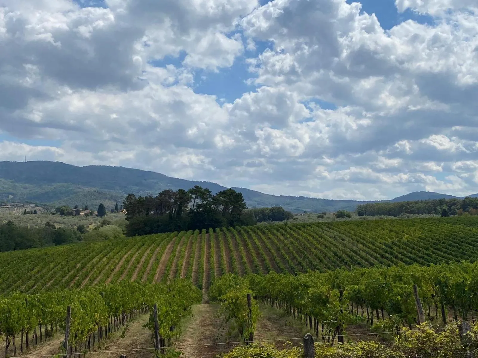 Natural landscape in Villa Medicea di Lilliano