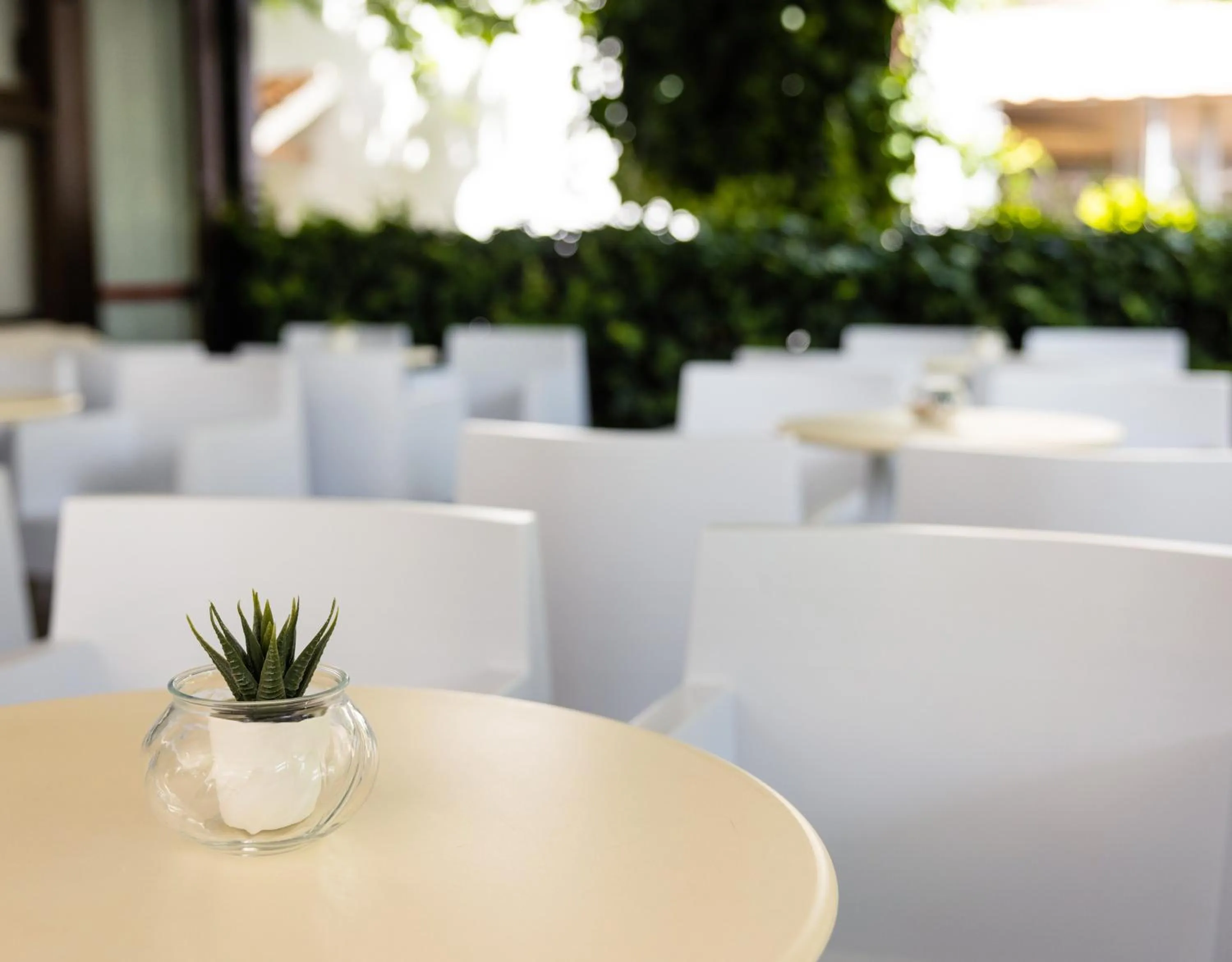 Lobby or reception in Hotel Buona fortuna