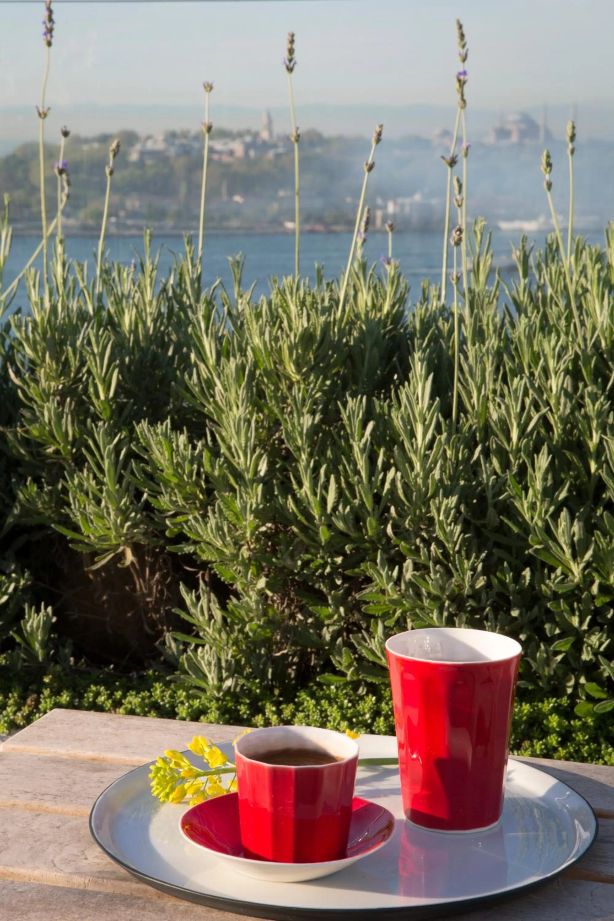 Day in Witt Istanbul Suites