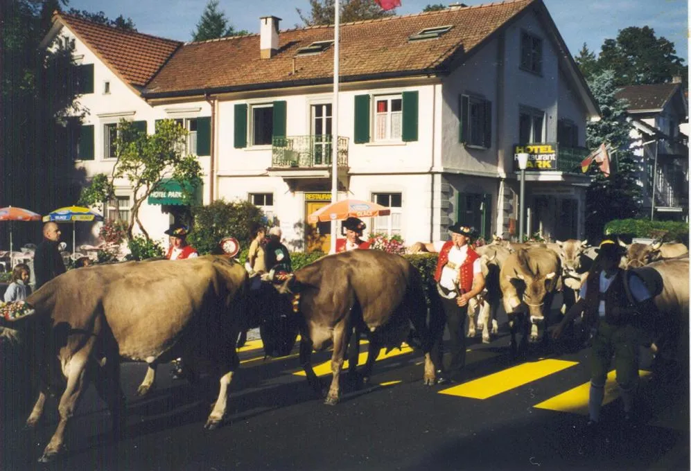 Facade/entrance in Park