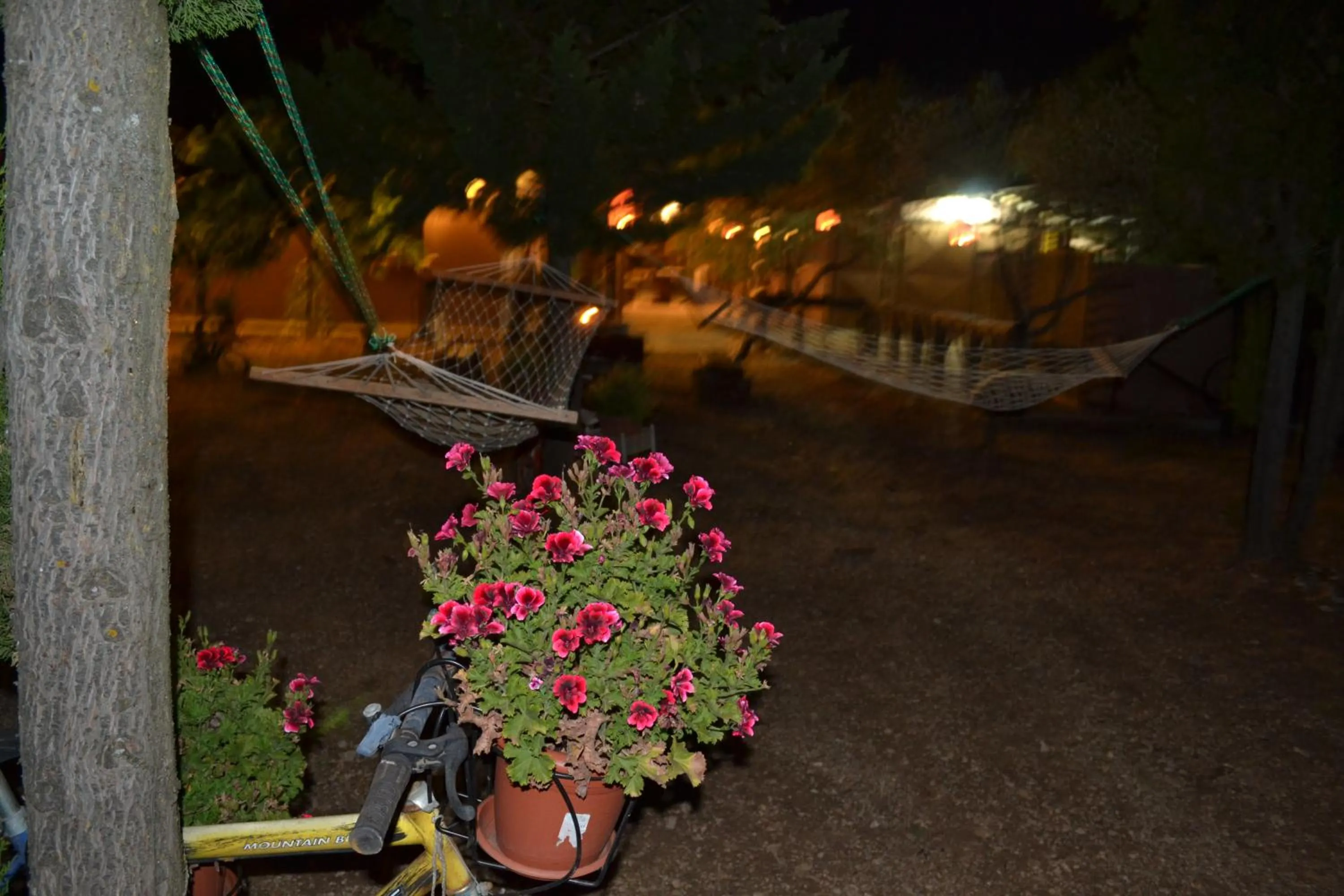 Garden in B&B Le Stagioni