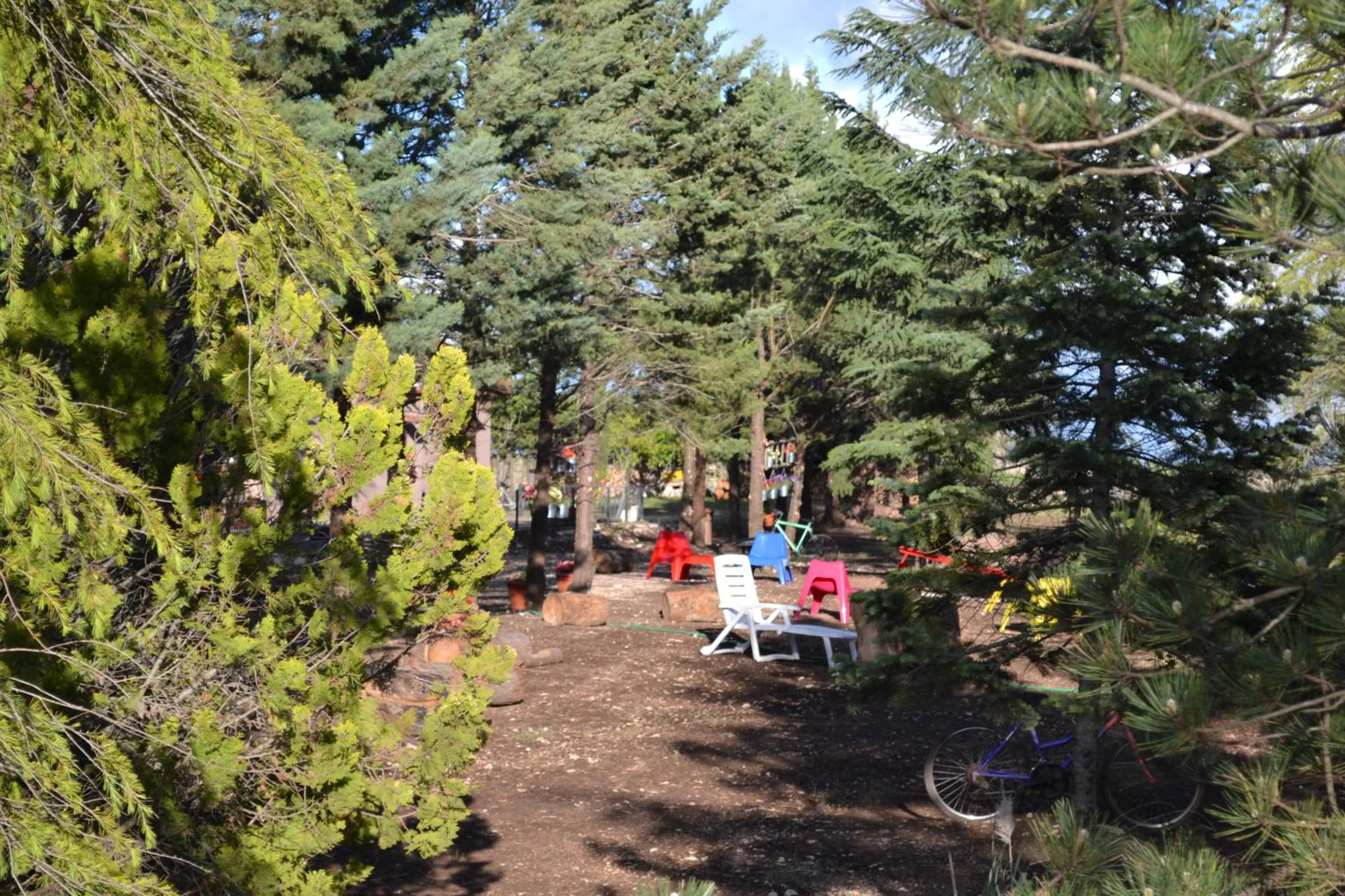 Garden in B&B Le Stagioni