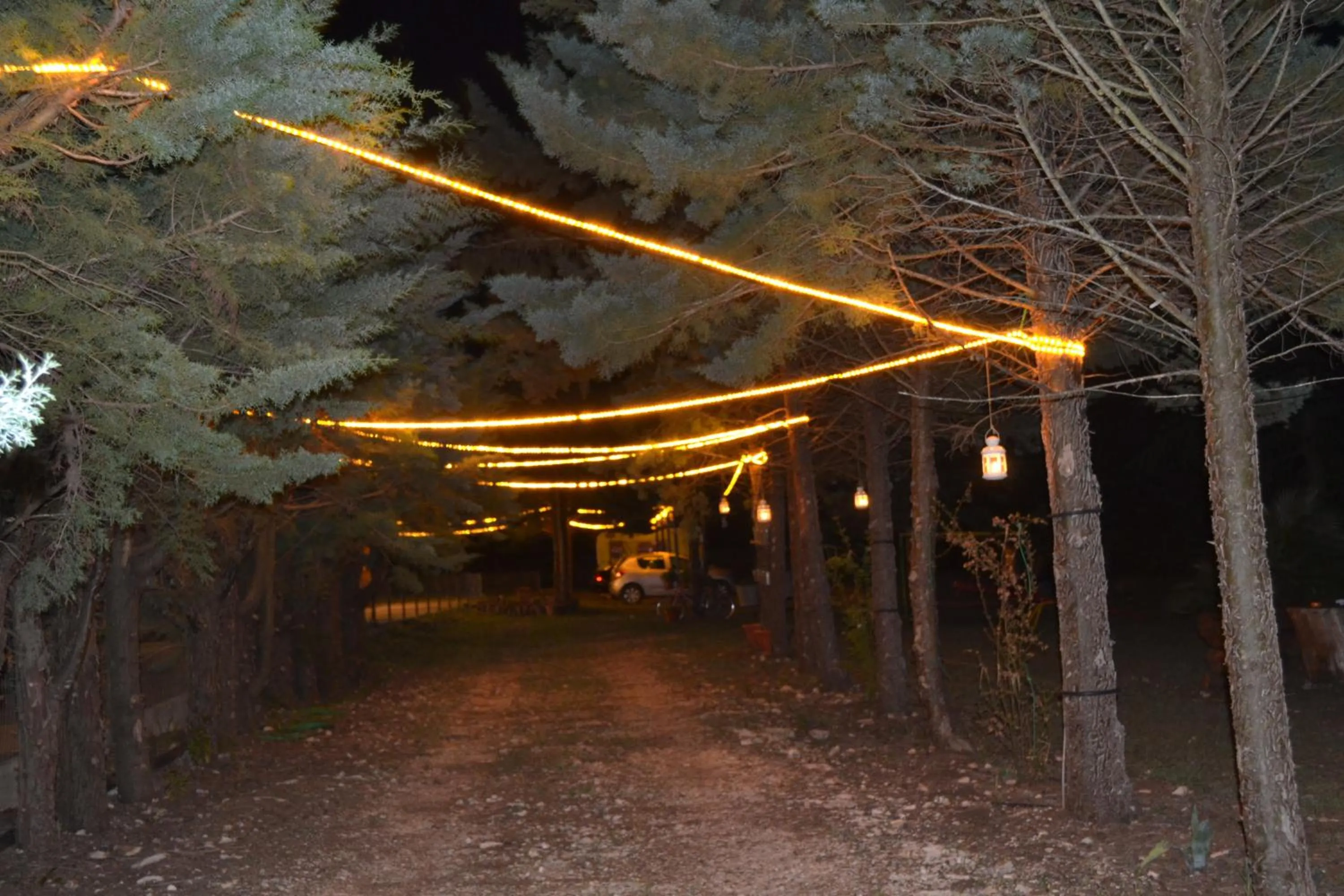 Area and facilities in B&B Le Stagioni