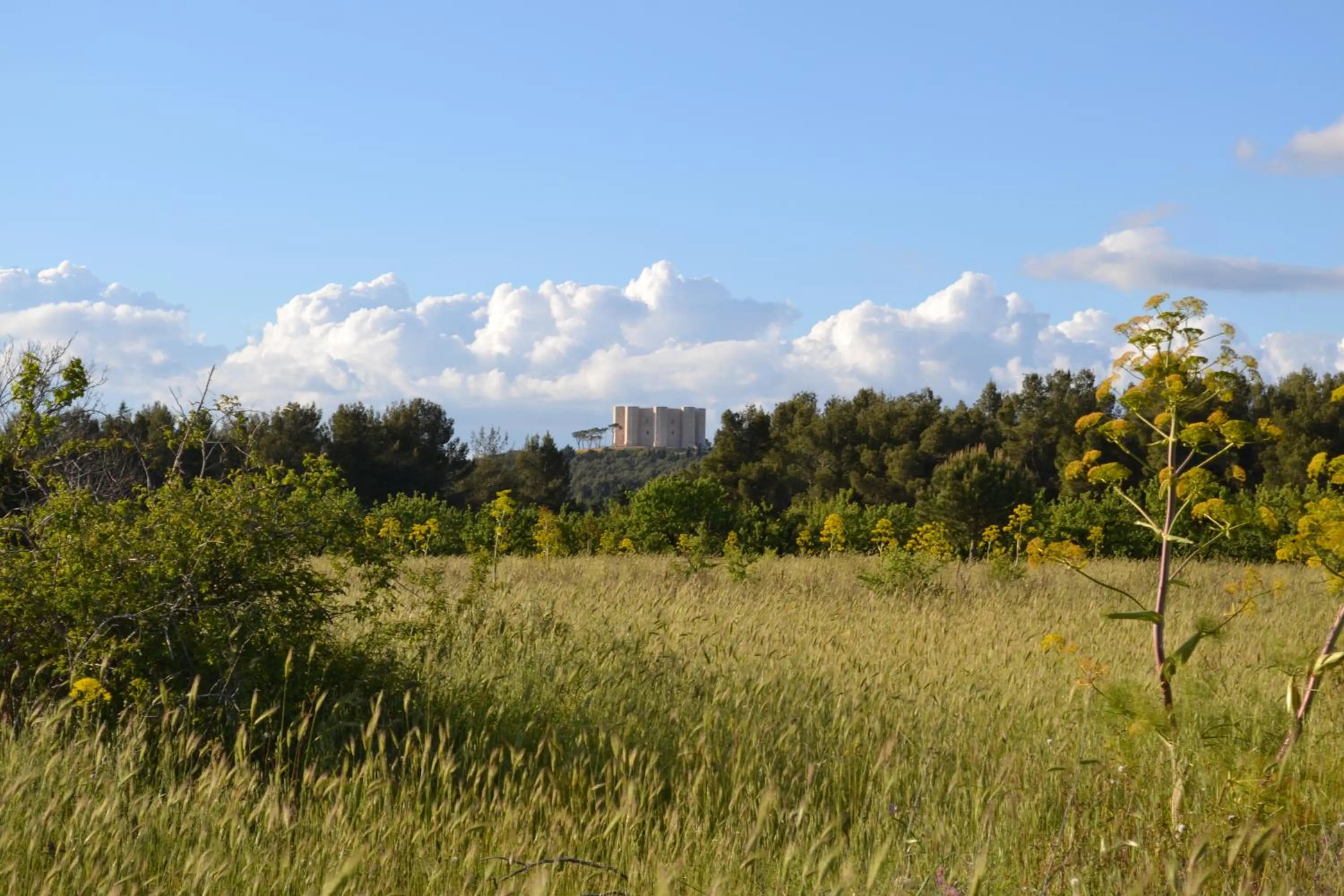 Landmark view in B&B Le Stagioni