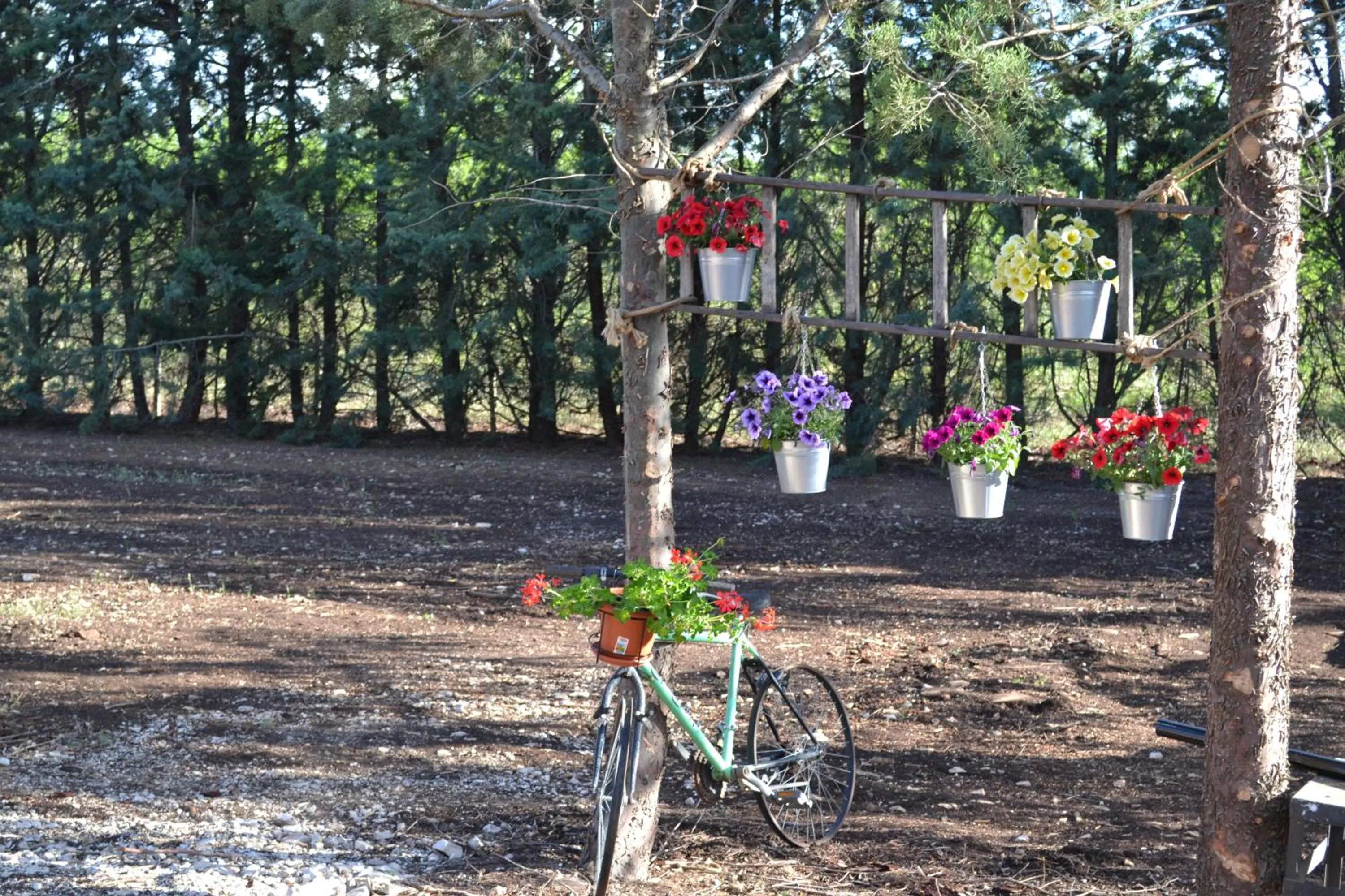 Garden in B&B Le Stagioni