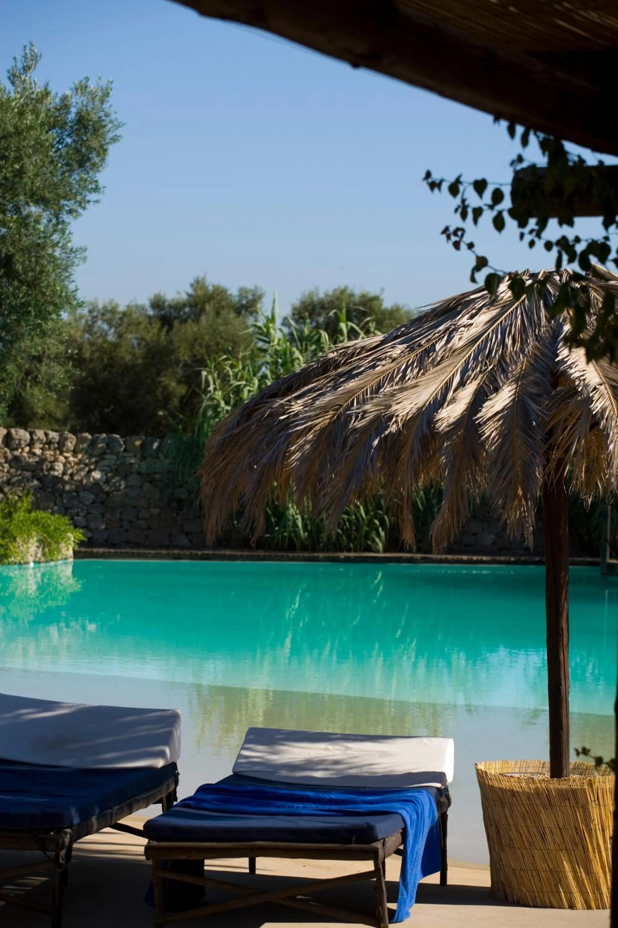 Swimming pool in Masseria Torre Coccaro