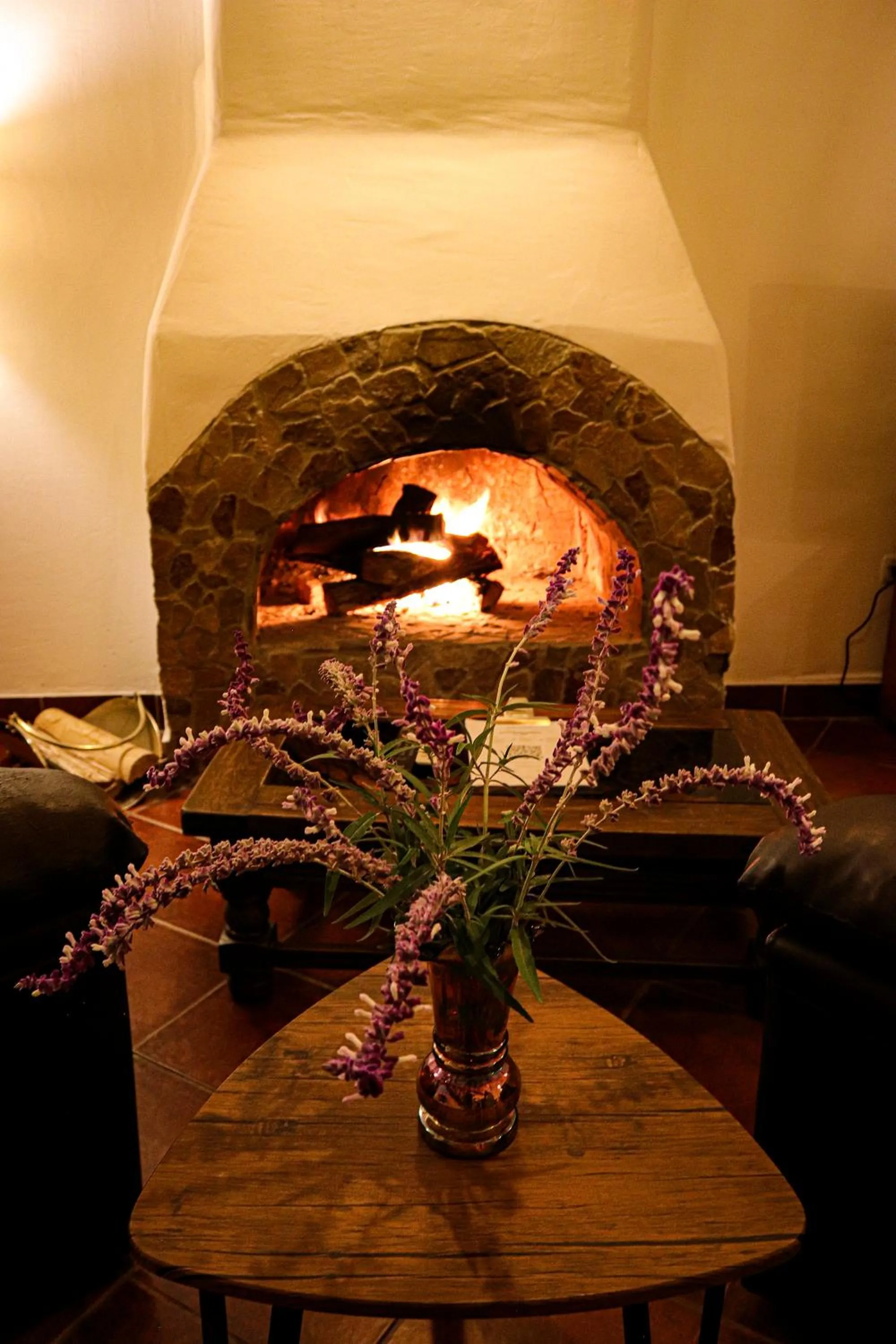 fireplace in Andean Wings Valley