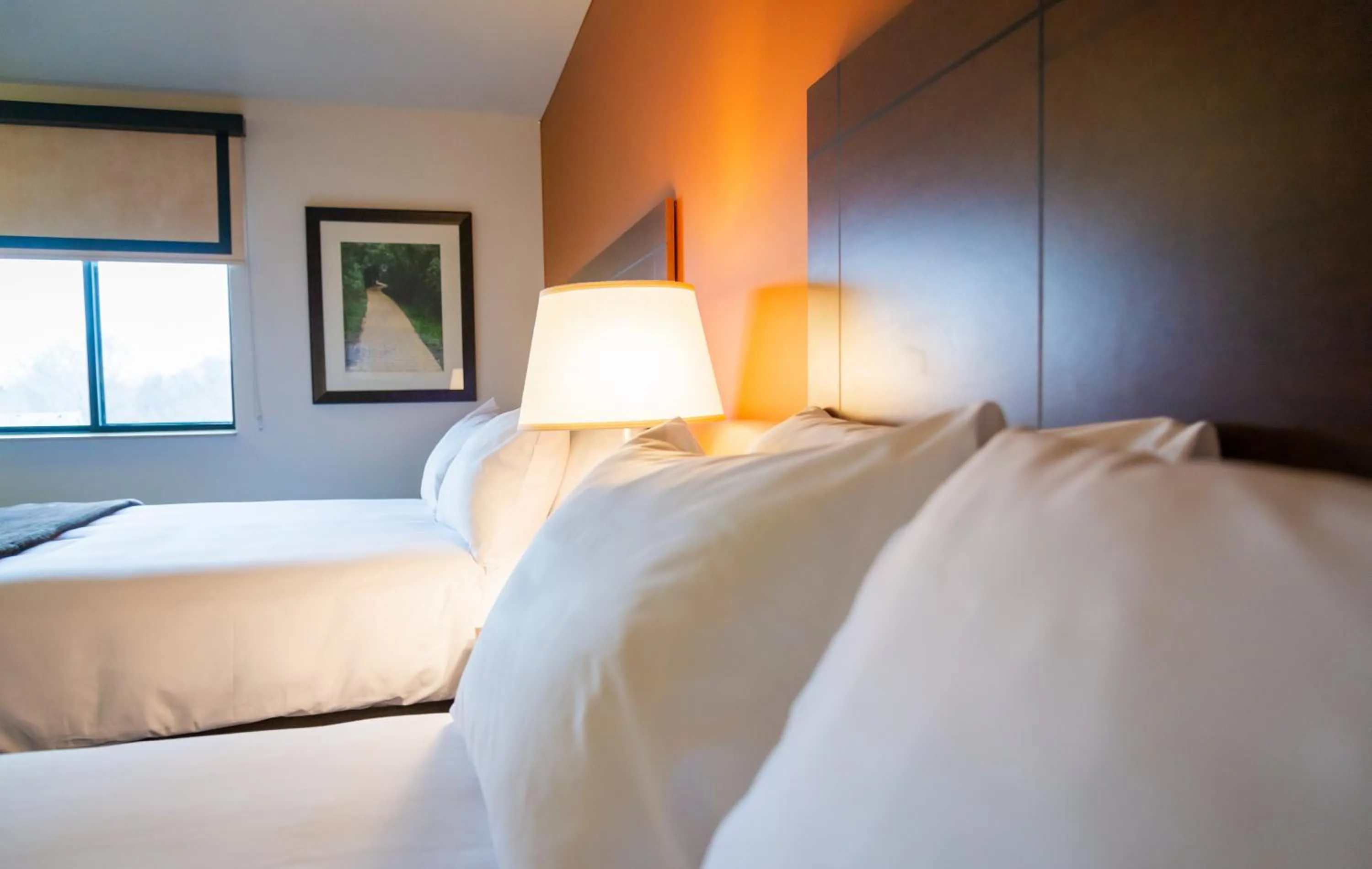 Bed in My Place Hotel-Pittsburgh North/Monaca, PA