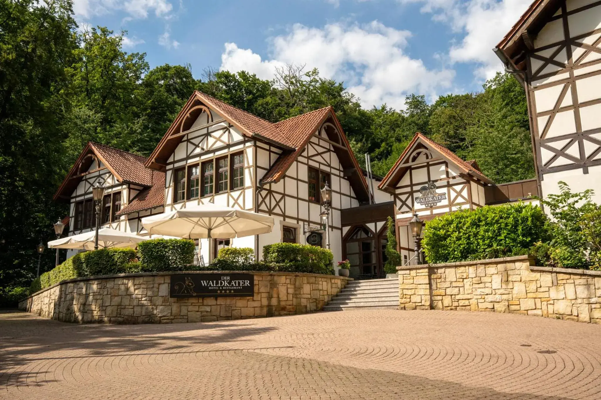 Hotel Der Waldkater Hotel Der Waldkater