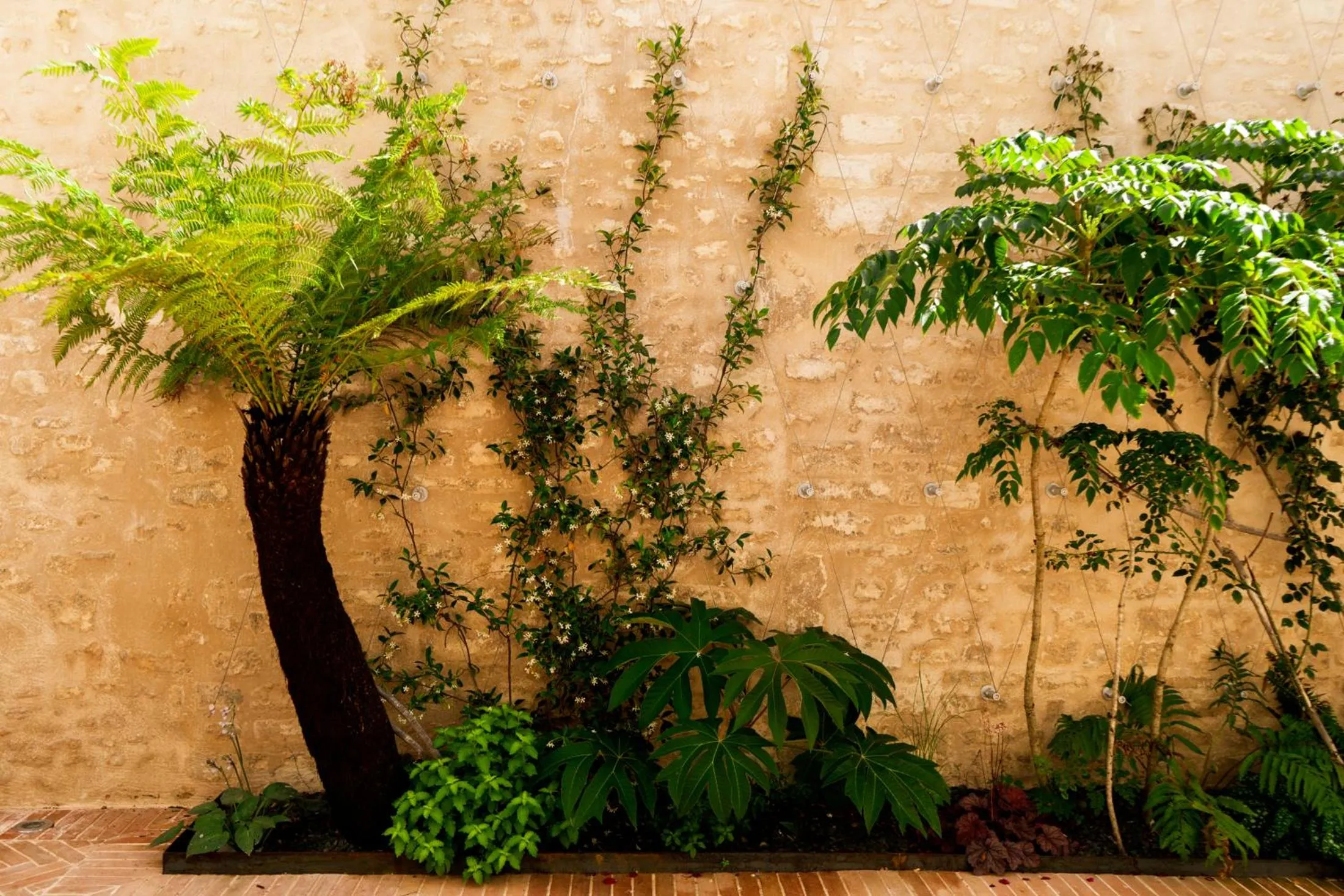 Patio in Hôtel La Particulière