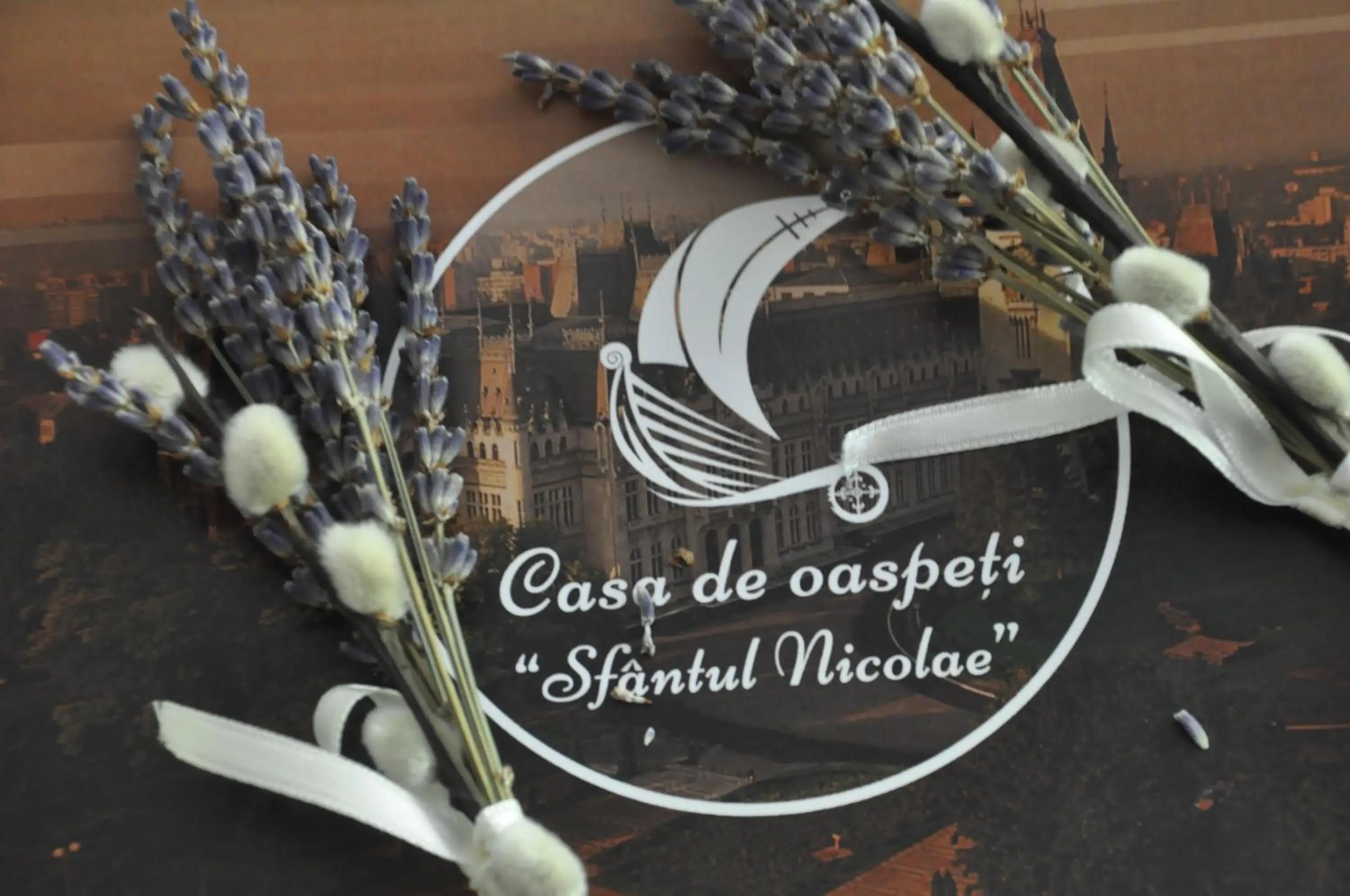 Other in Casa de Oaspeți Sfântul Nicolae