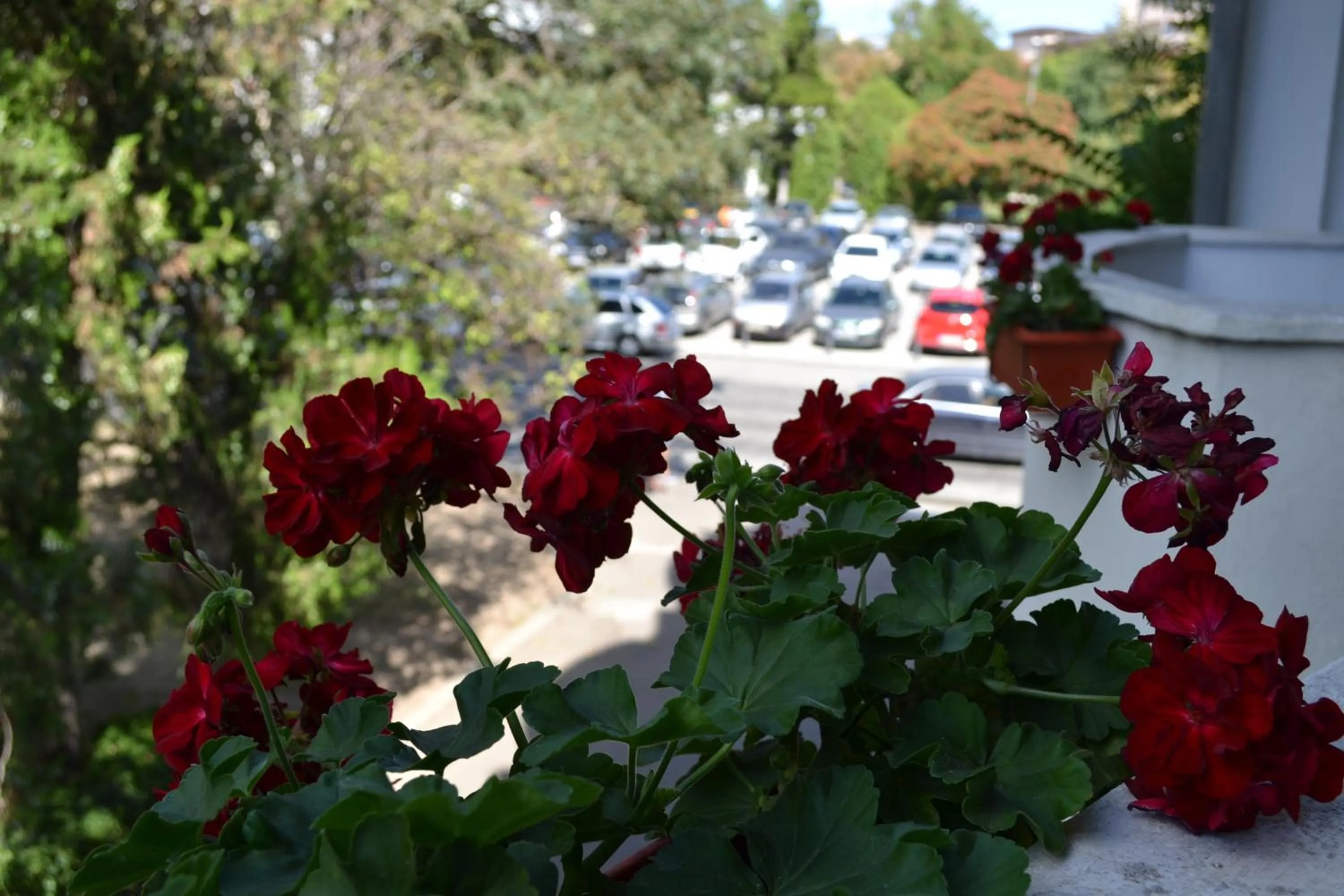 Day in Casa de Oaspeți Sfântul Nicolae