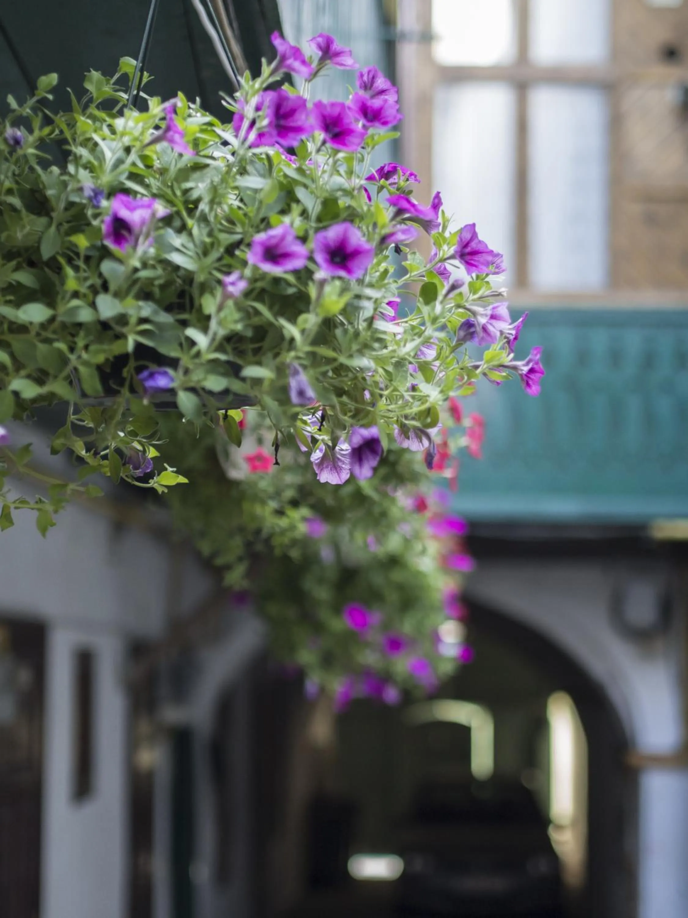 Balcony/Terrace in Rabbit Hole