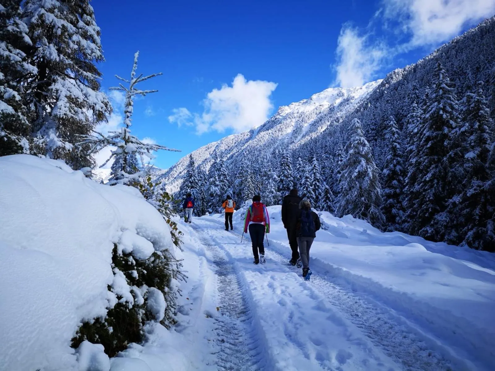 Off site in Bärenhotel