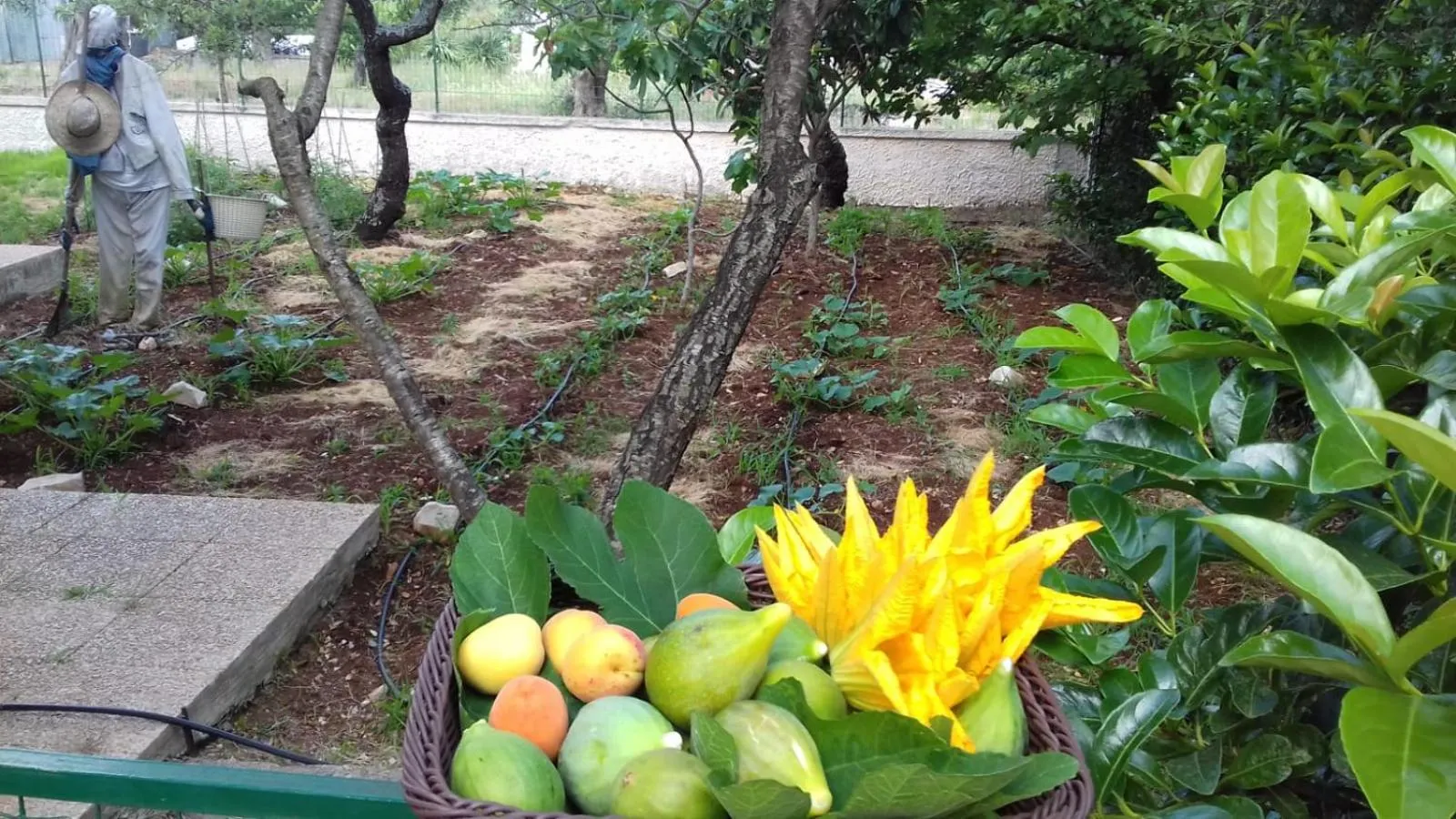 Garden in B&B Villa Nonna Maria