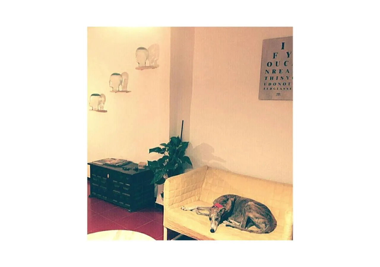 Pets in B&B Una Habitación Propia