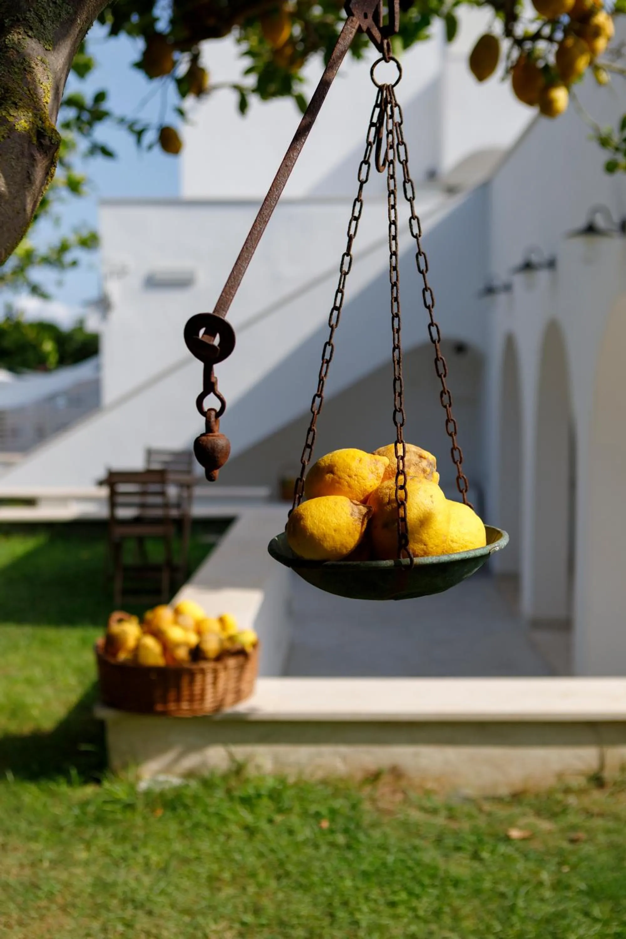 Restaurant/places to eat in La Casa sul Faro