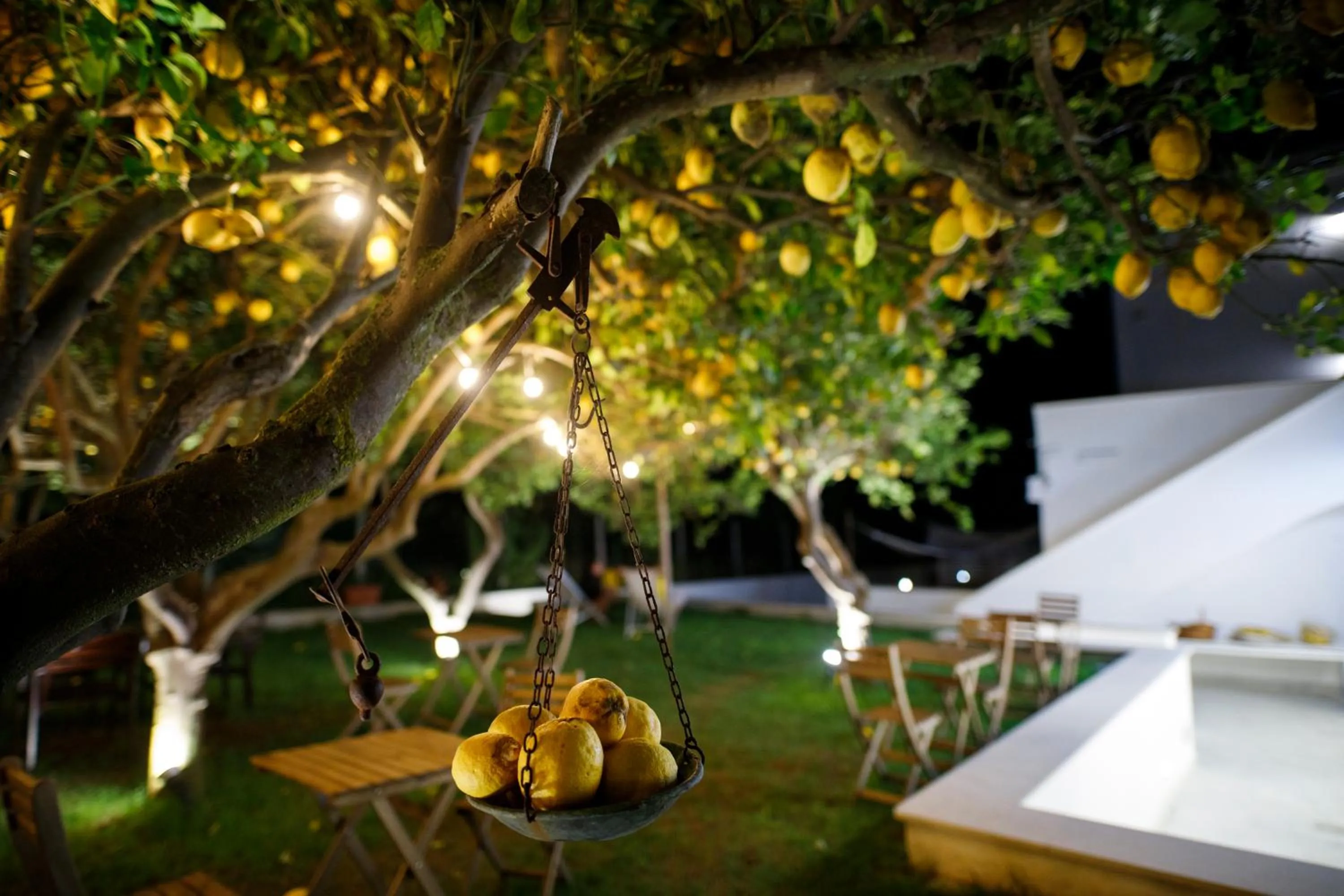 Restaurant/places to eat in La Casa sul Faro