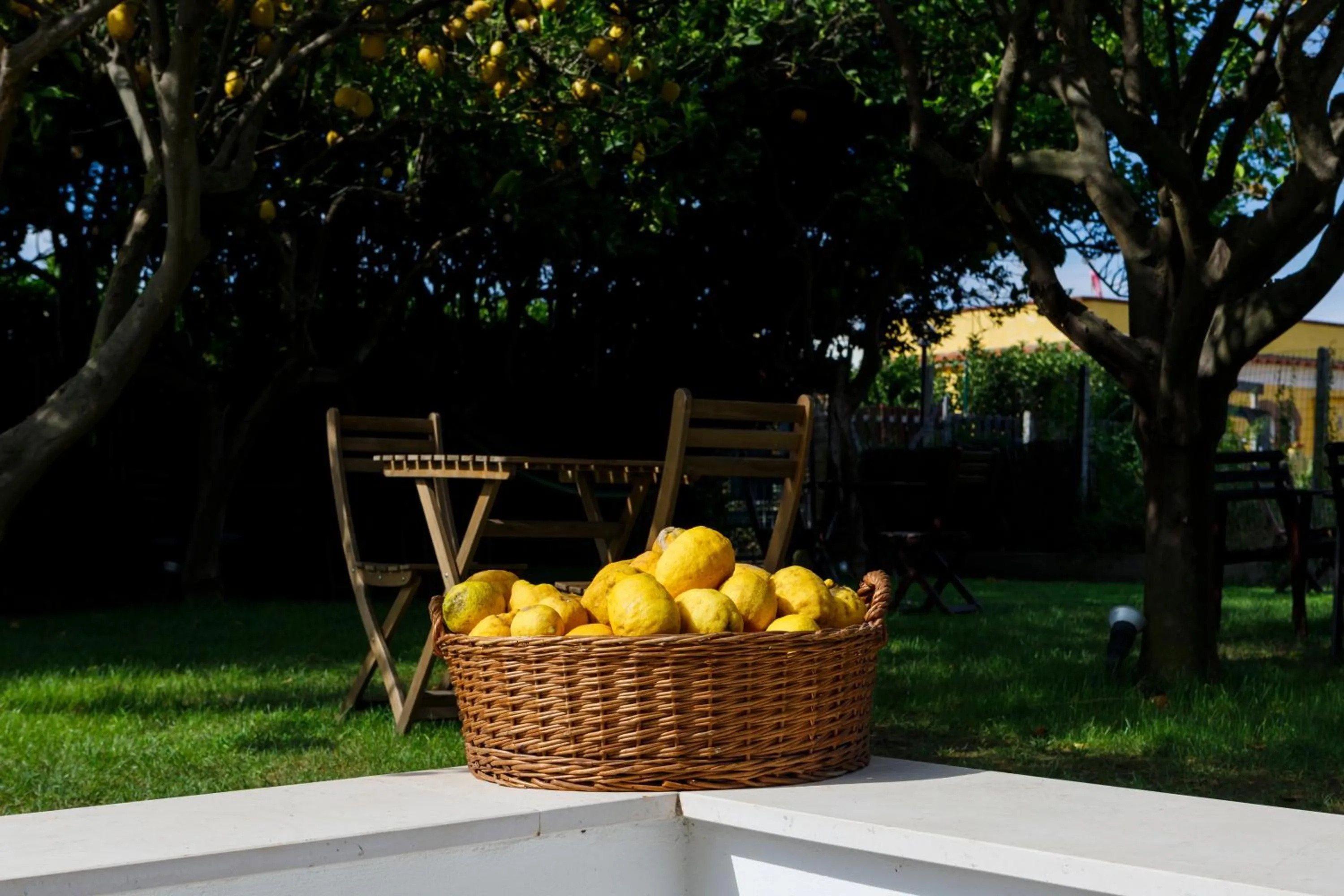 Garden in La Casa sul Faro