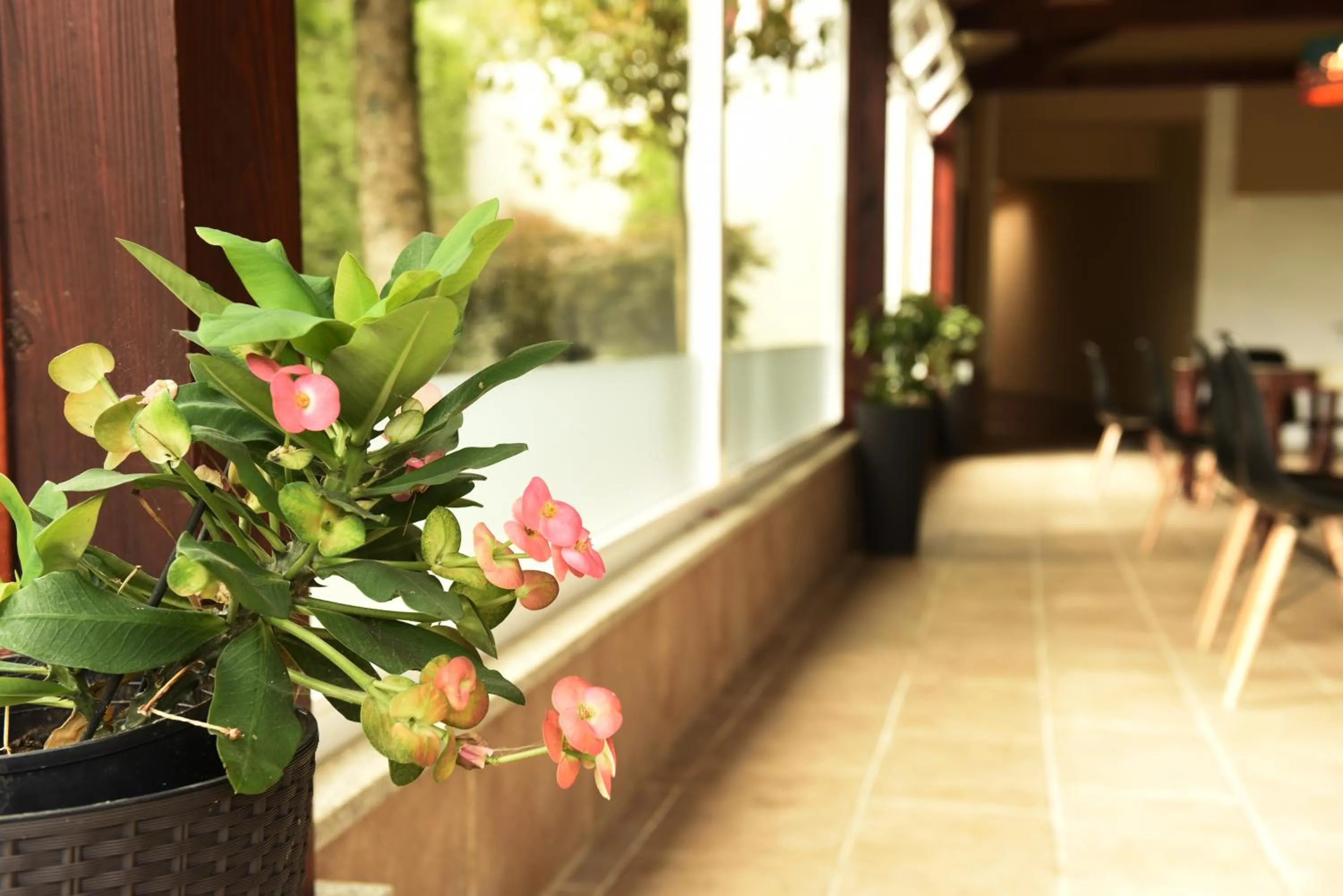 Decorative detail in Hotel & Spa Carlos desde 1996