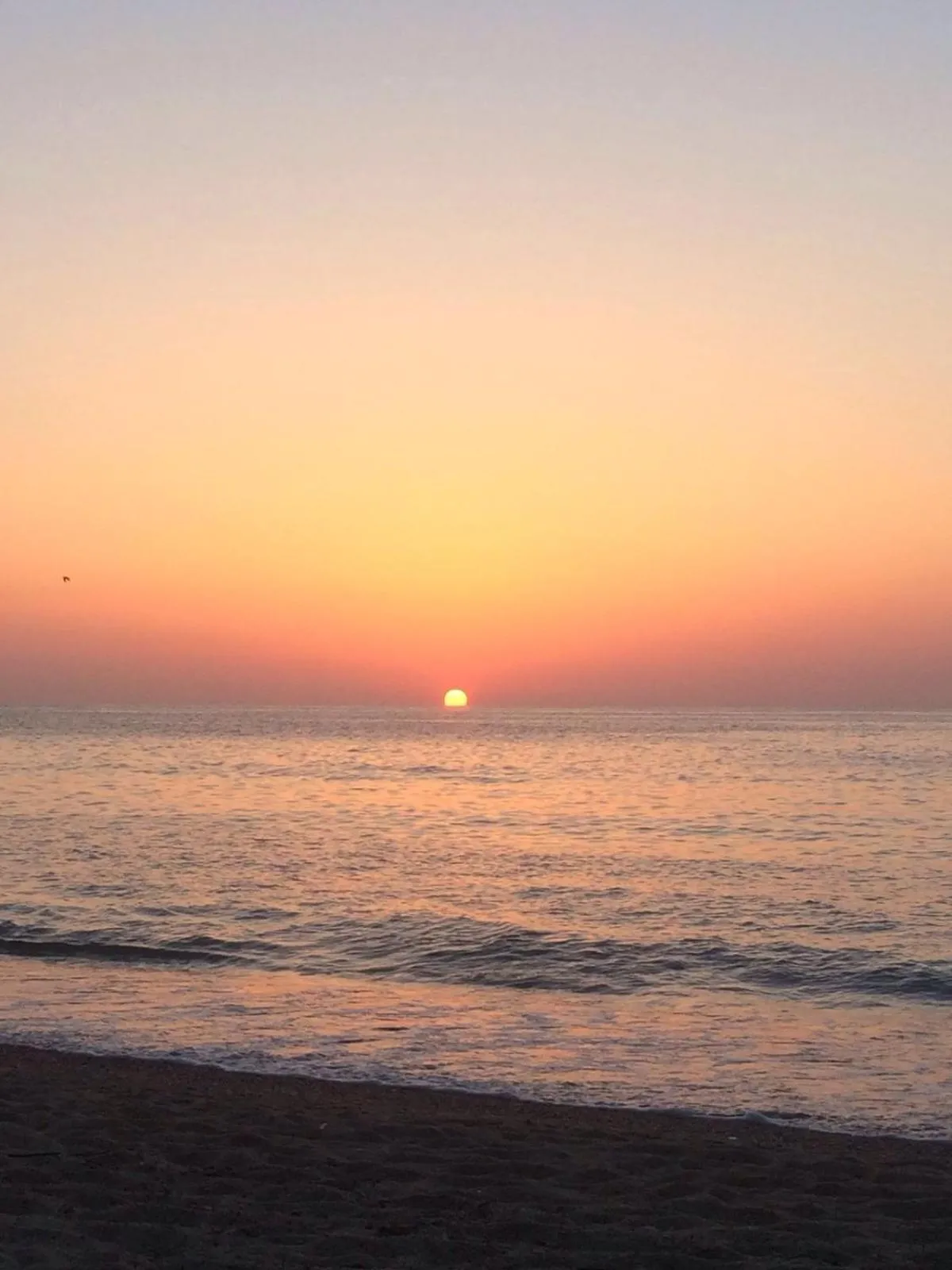 Beach in Residence Pantaleo