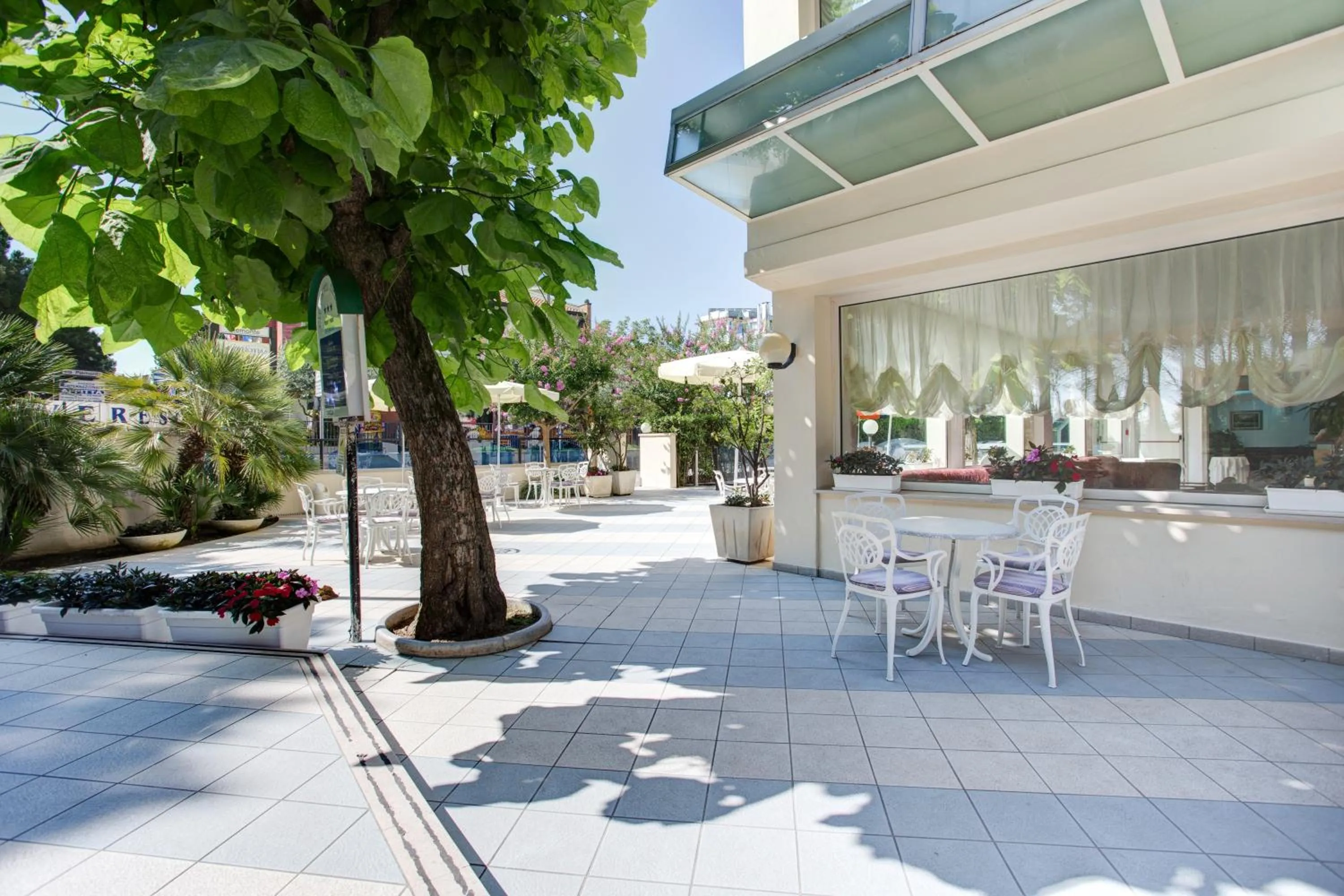 Garden in Hotel Everest