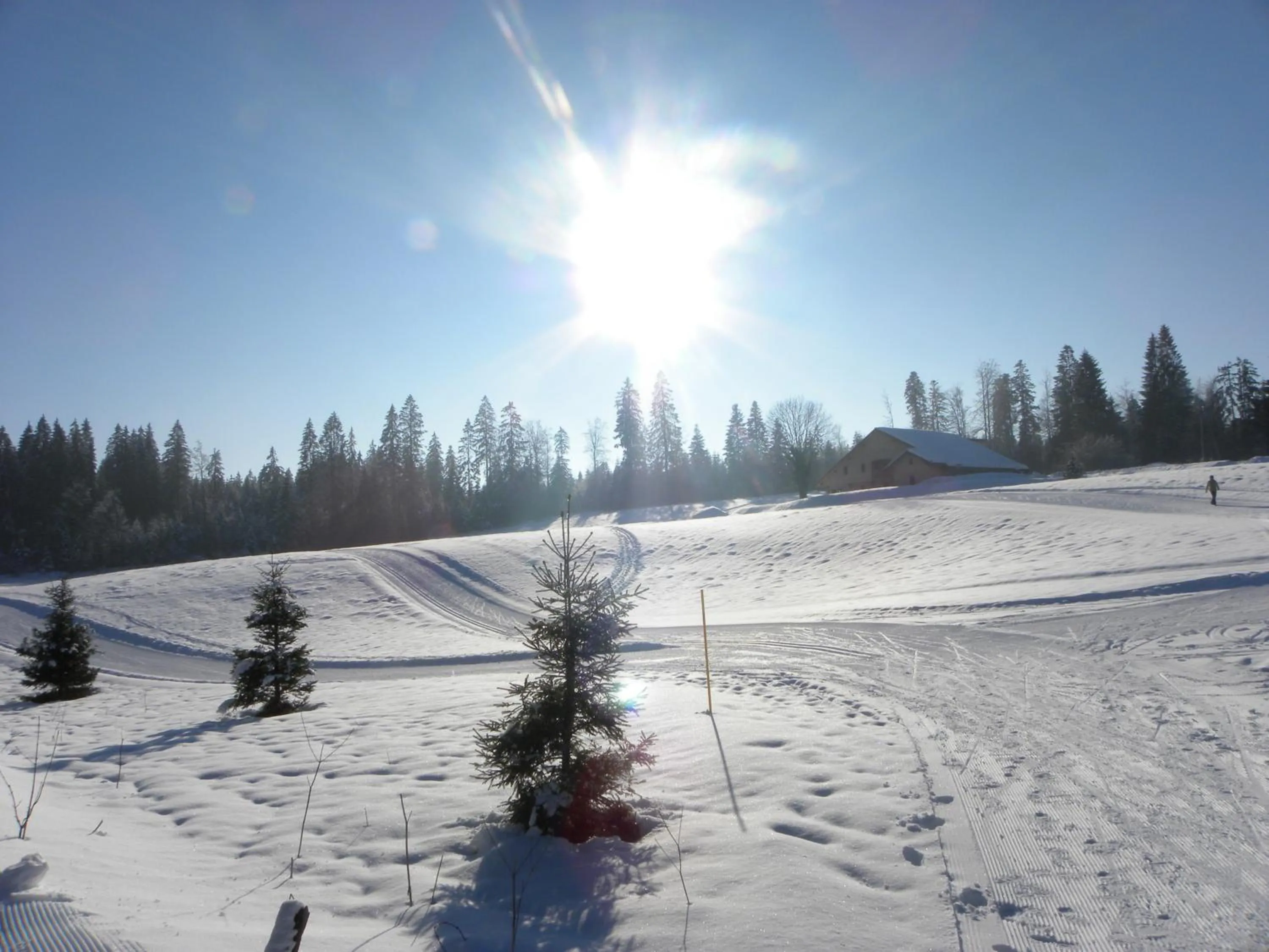 Etoile des Neiges Hôtel et Piscine