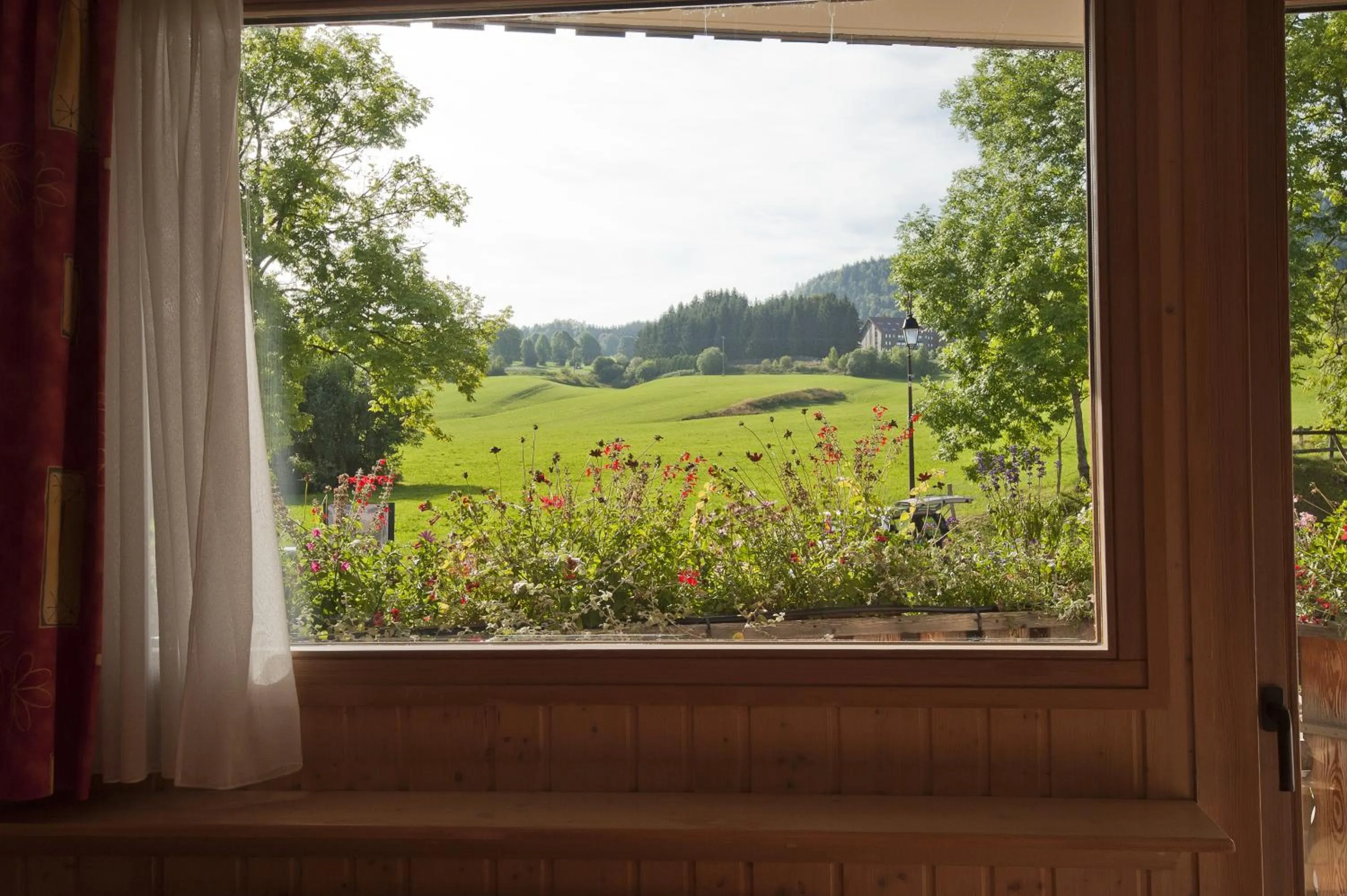 Garden view in Etoile des Neiges Hôtel et Piscine