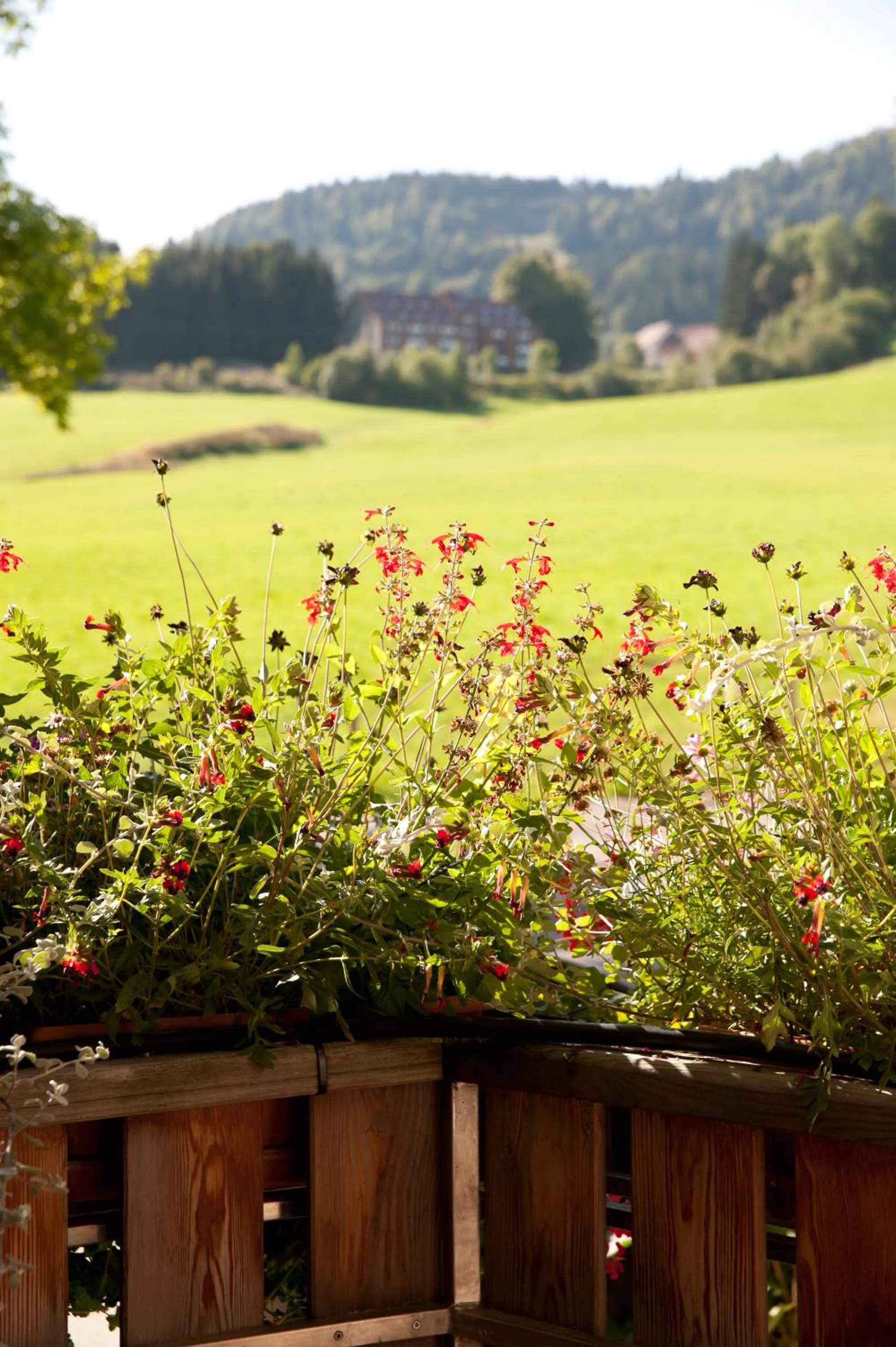 Property building in Etoile des Neiges Hôtel et Piscine
