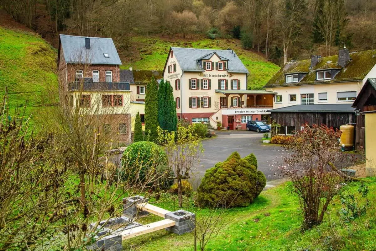 Weingut Muehlenschenke - Game-Room, Vineyard, Sauna and more