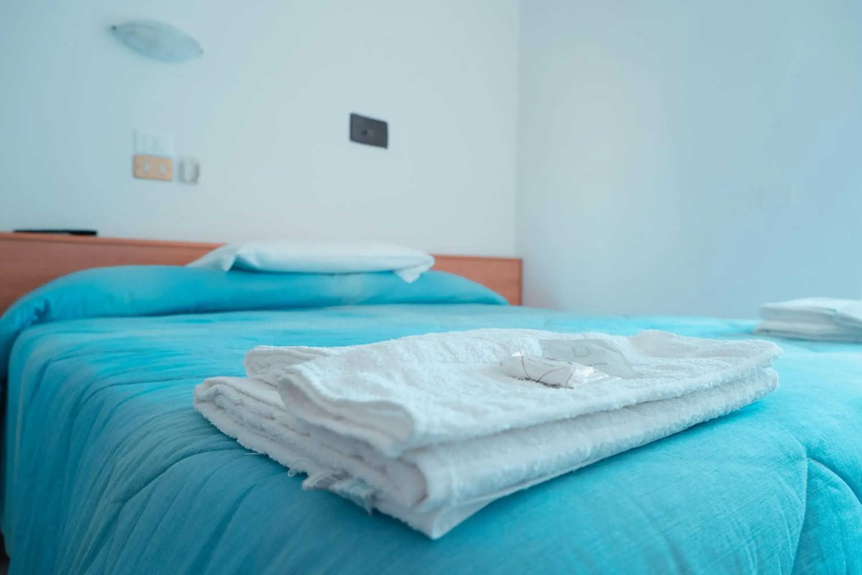 Double or Twin Room with Bathroom in Albergo ristorante Elena Double or Twin Room with Bathroom in Albergo ristorante Elena