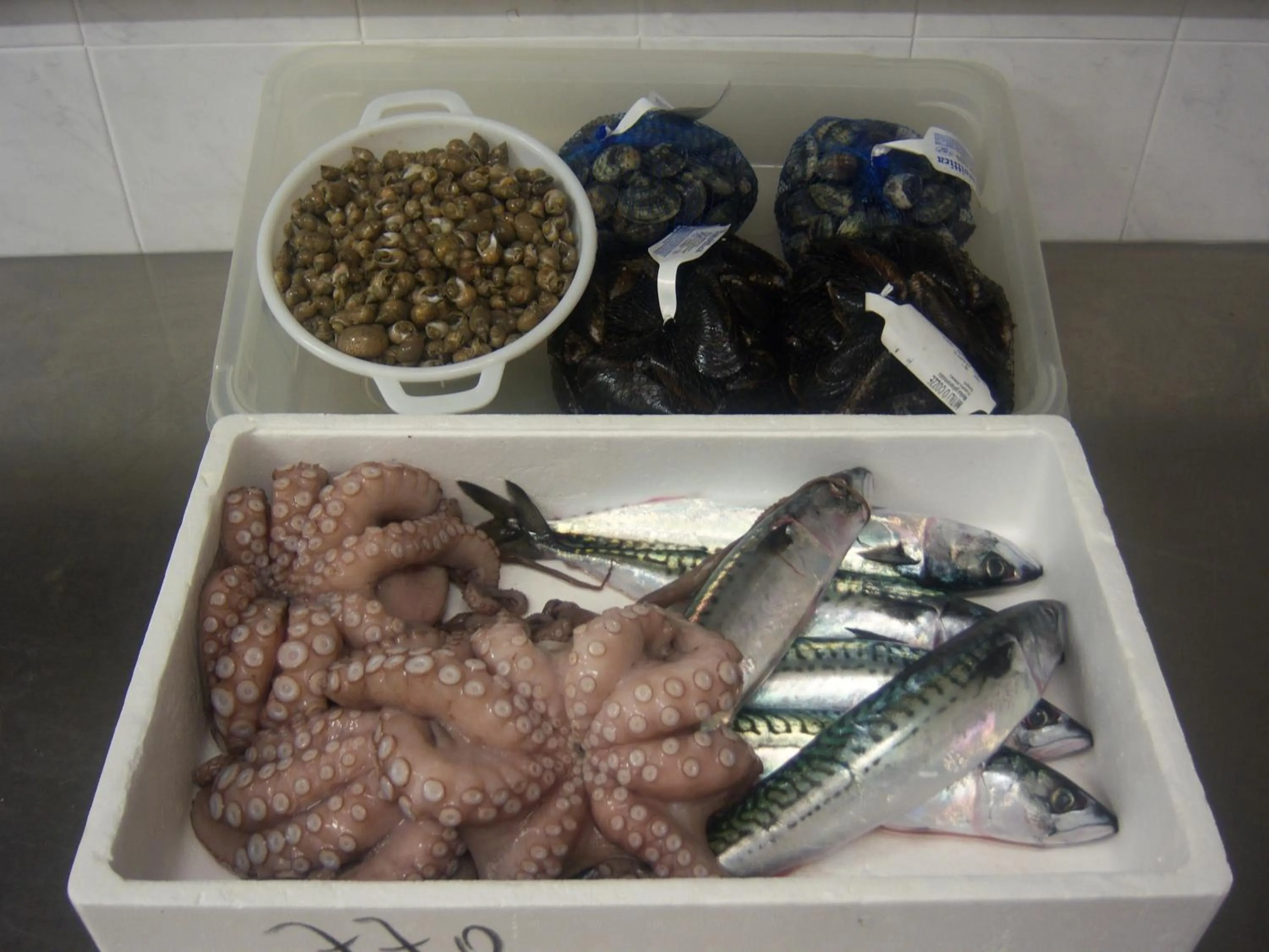 Restaurant/places to eat in Albergo ristorante Elena