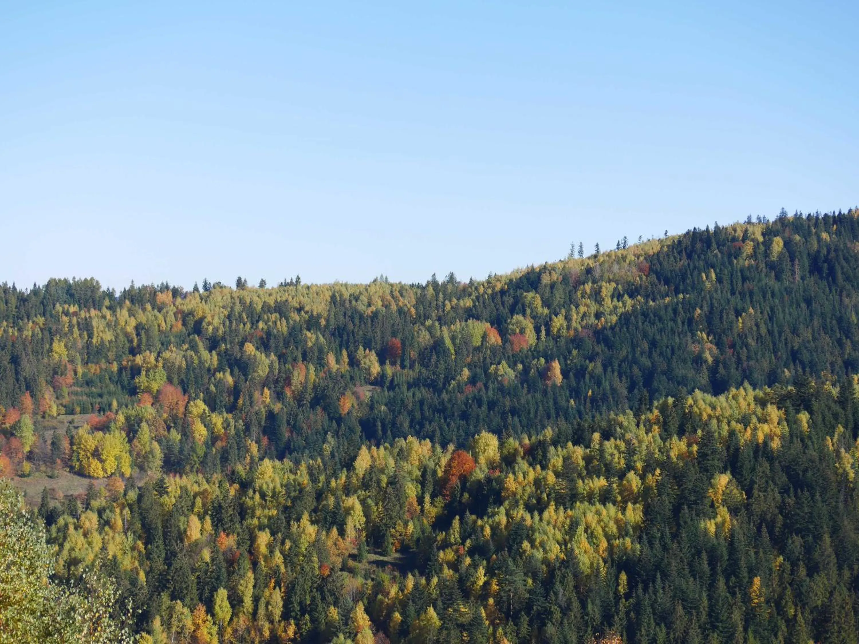Autumn in Apartamenty przy Hotelu Żywieckim
