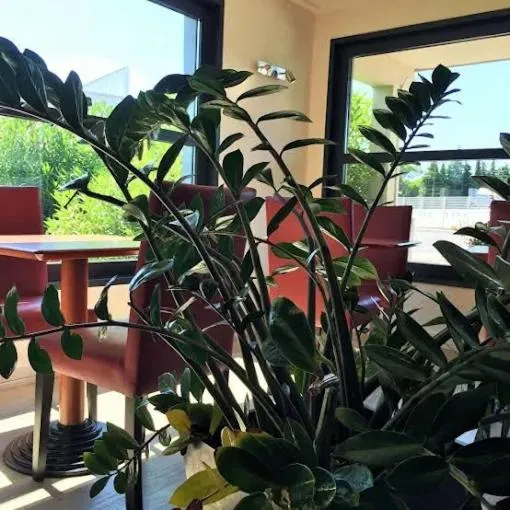 The Originals City, Hôtel Cap Sud, Avignon