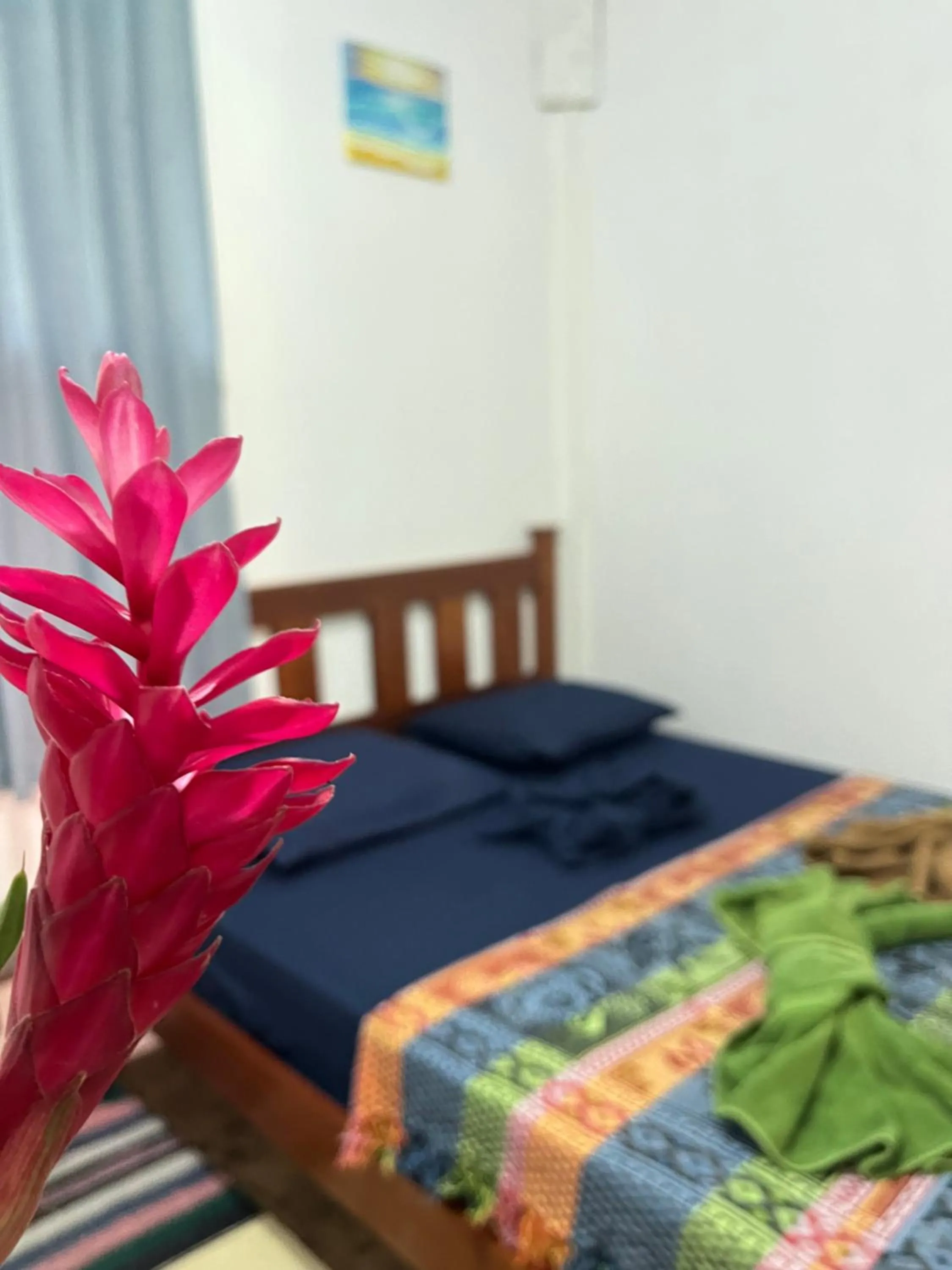 Standard Double Room in hostal Camping la ygriega