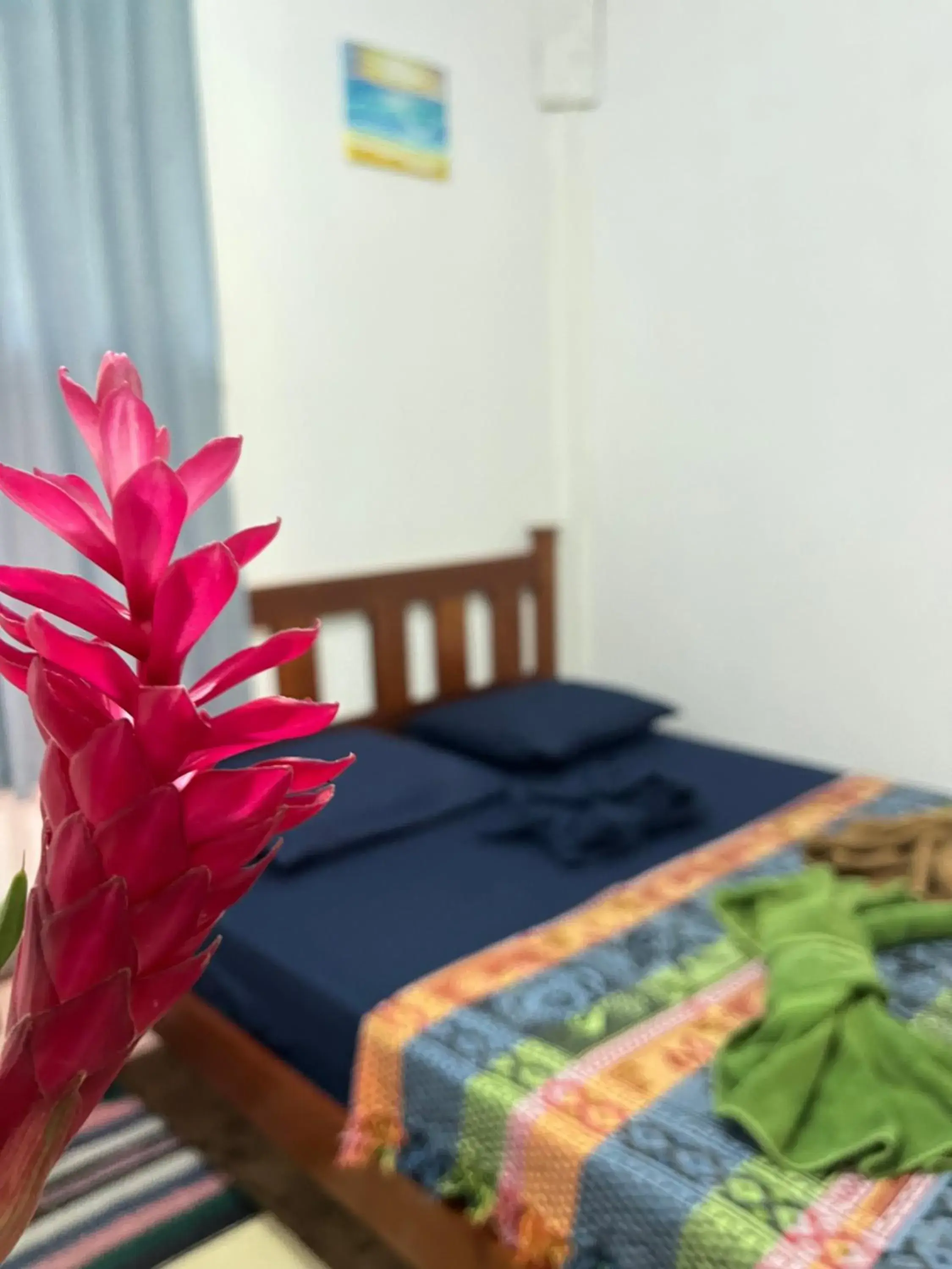 Standard Double Room in hostal Camping la ygriega Standard Double Room in hostal Camping la ygriega